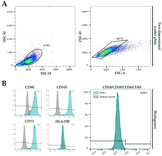 Mesenchymal Stem Cells in Liver Fibrosis: A Dose-Dependent Recovery