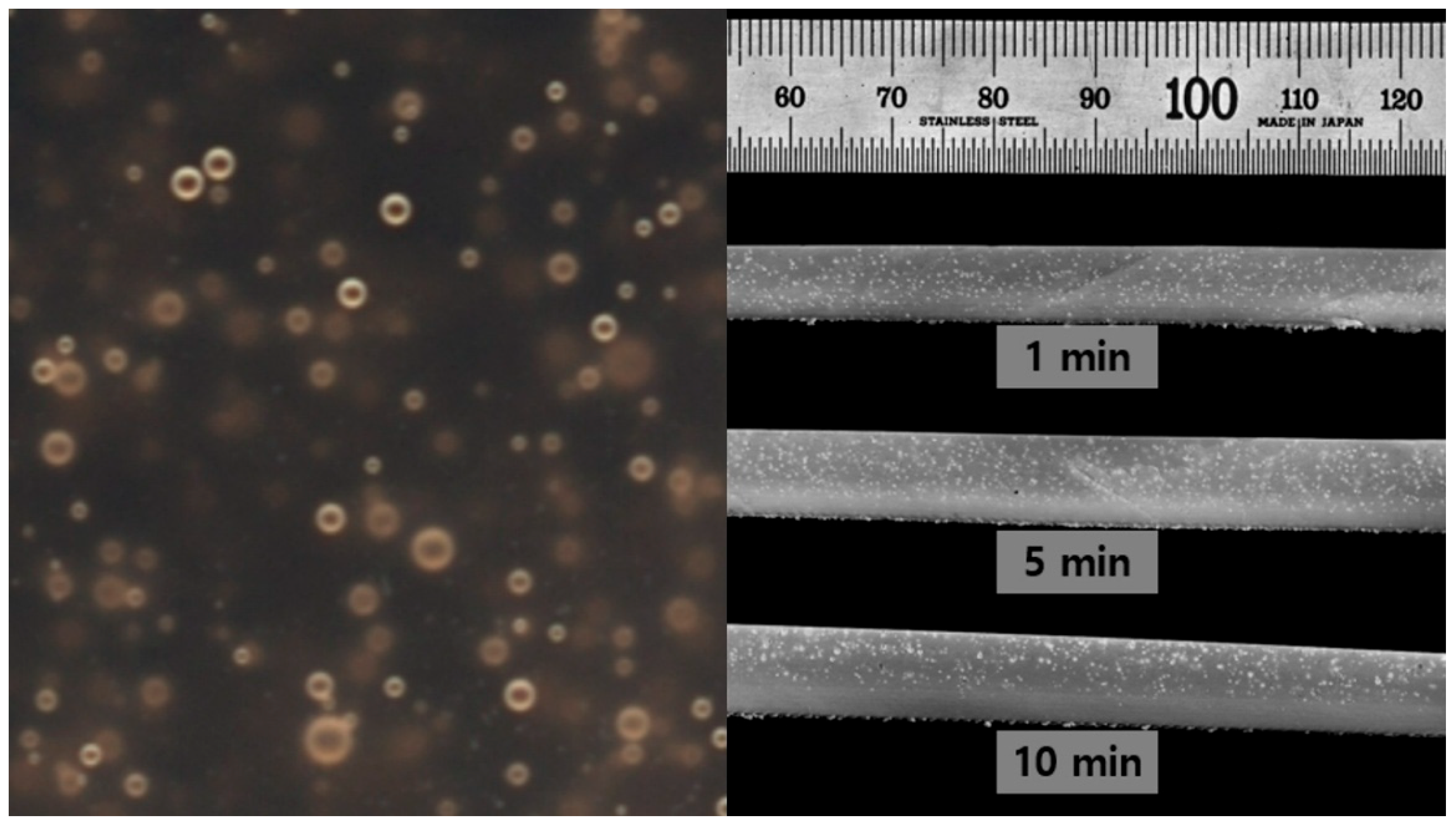 Applsci 15 10486 g004