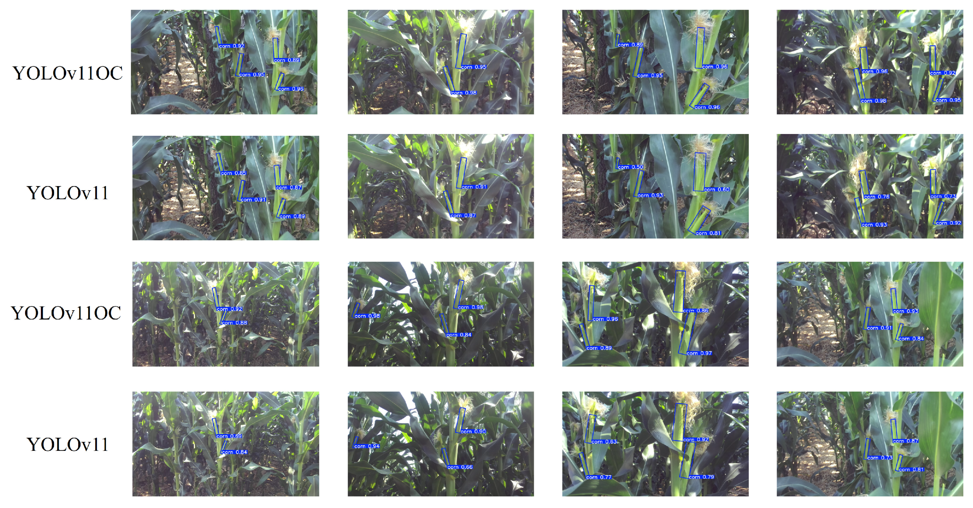 Applsci 15 10496 g011