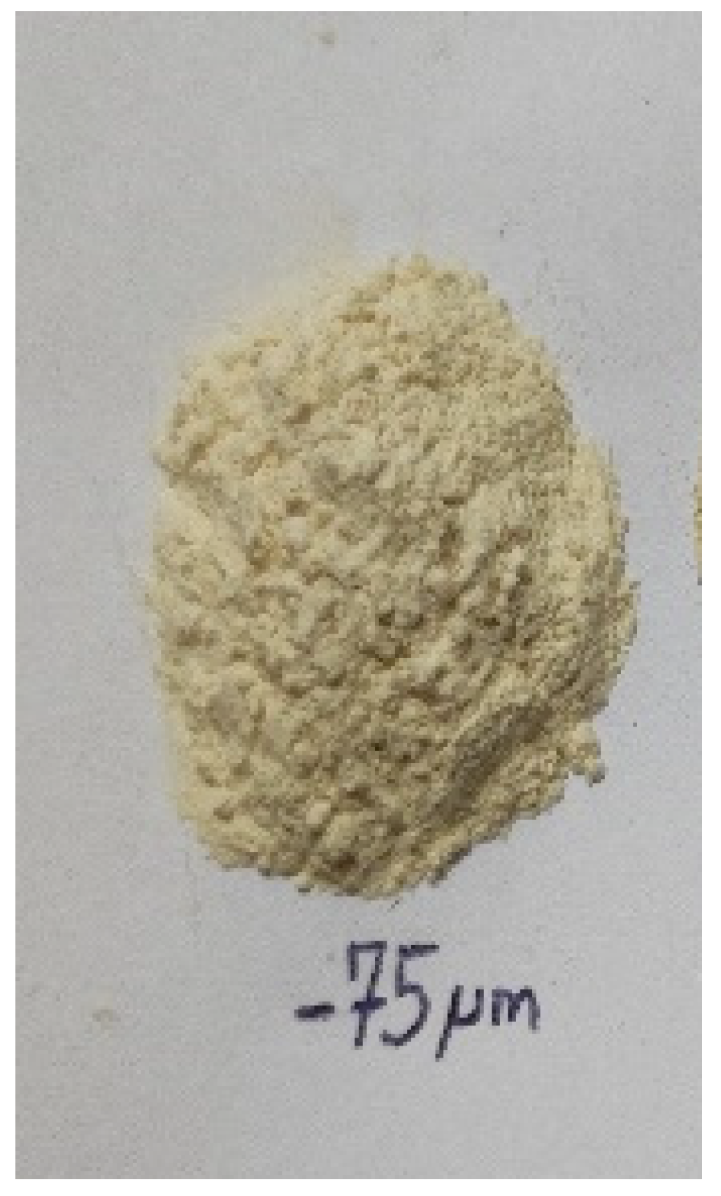 Applsci 15 10500 g001 Applsci 15 10500 g001