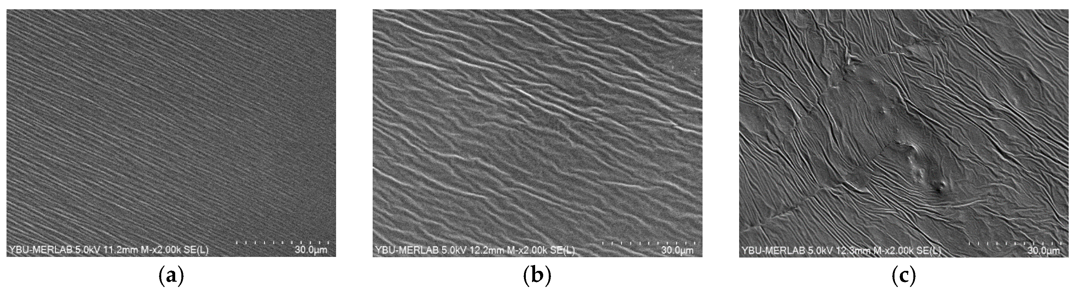 Applsci 15 10500 g003 Applsci 15 10500 g003