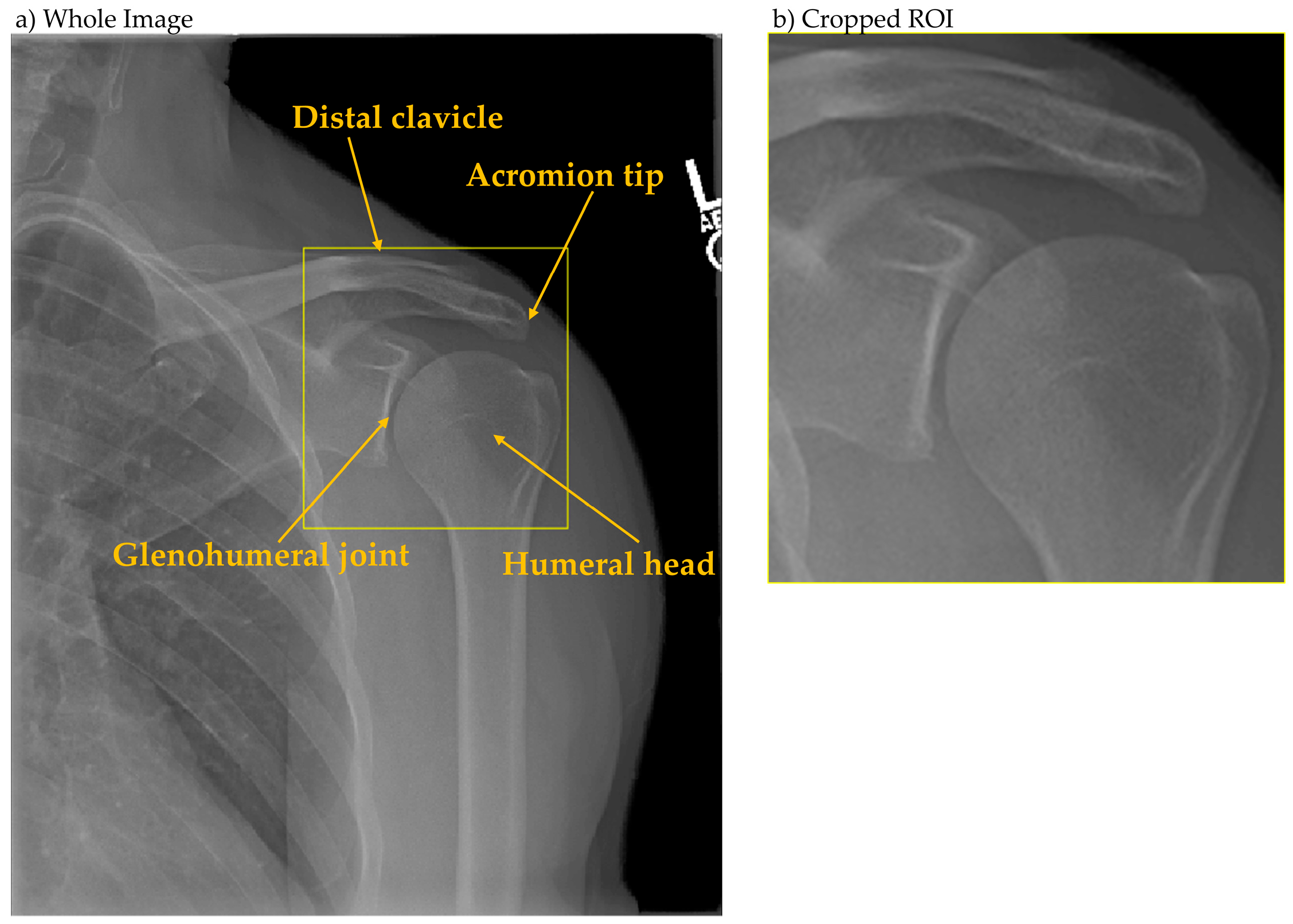 Applsci 15 10534 g002