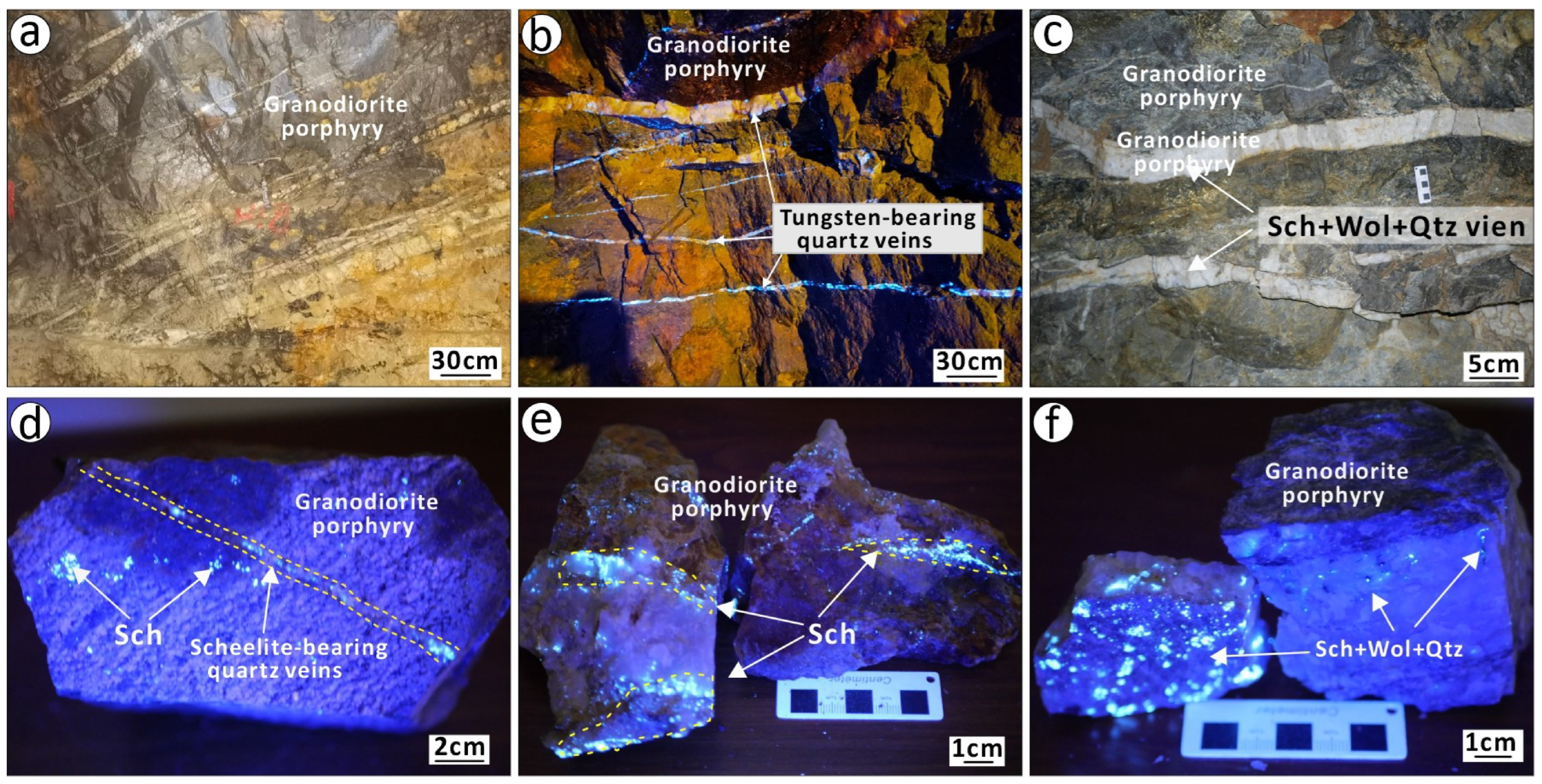 Applsci 15 10553 g003 Applsci 15 10553 g003