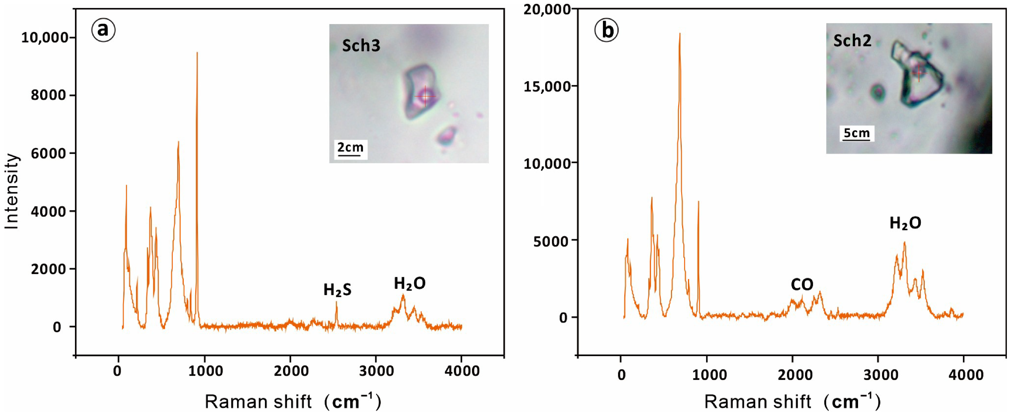 Applsci 15 10553 g006 Applsci 15 10553 g006