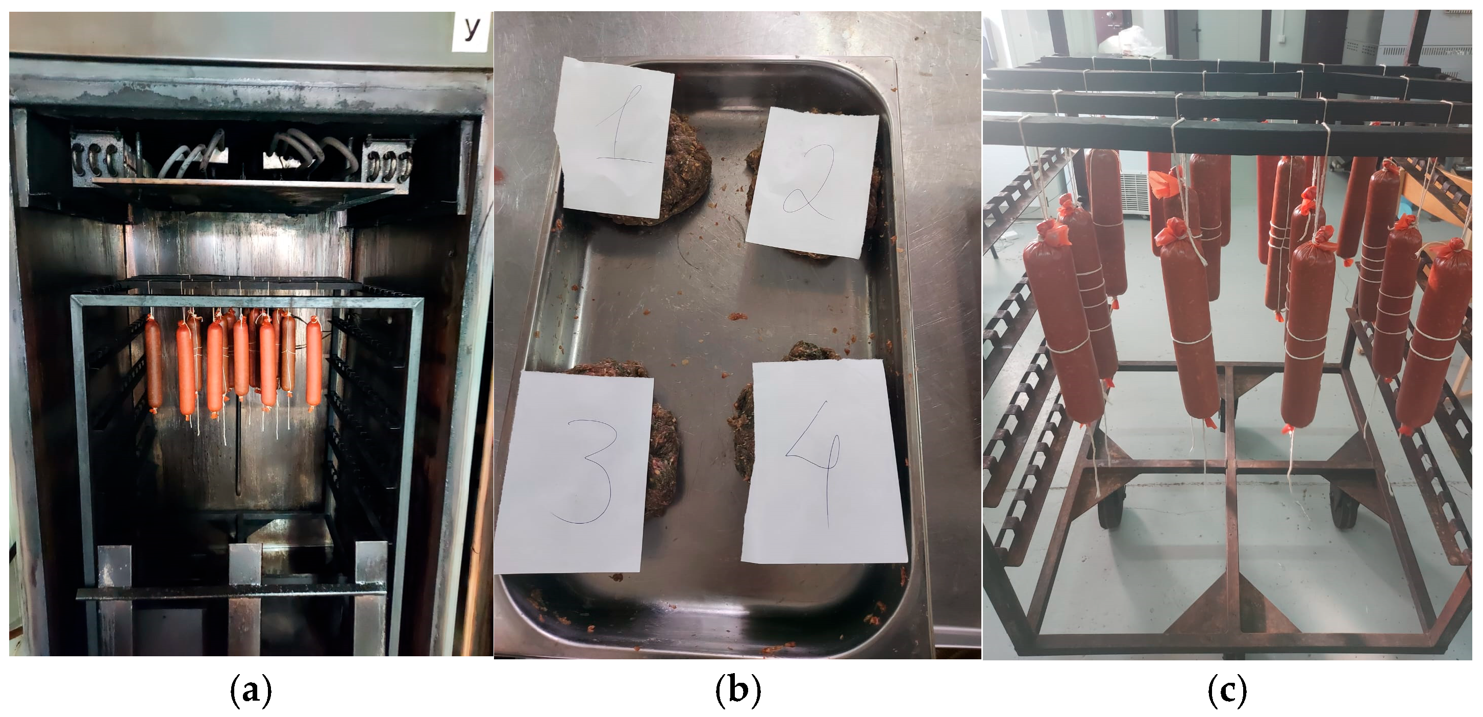 Applsci 15 10556 g001 Applsci 15 10556 g001