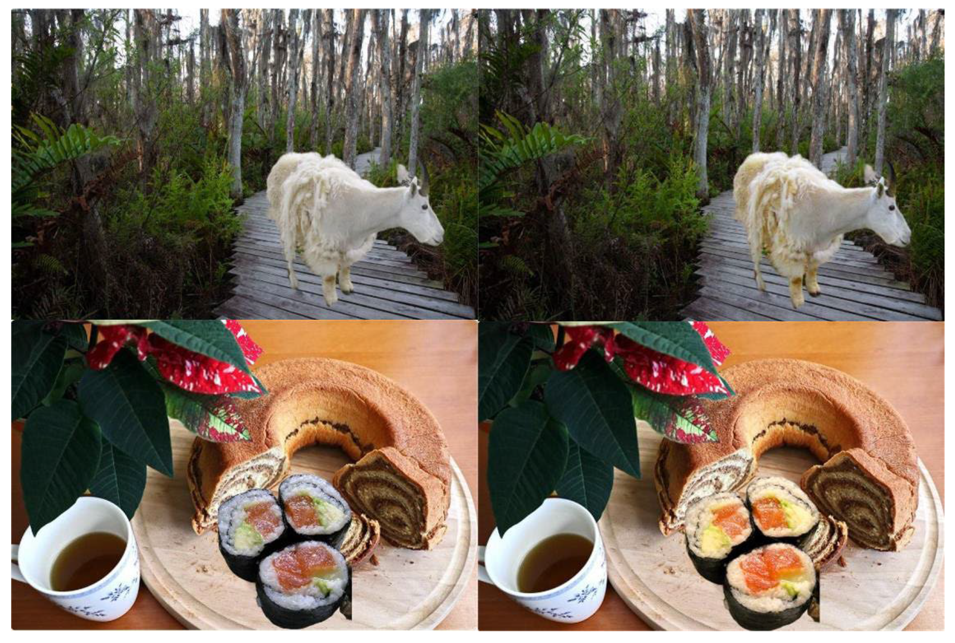 Applsci 15 10573 g001 Applsci 15 10573 g001