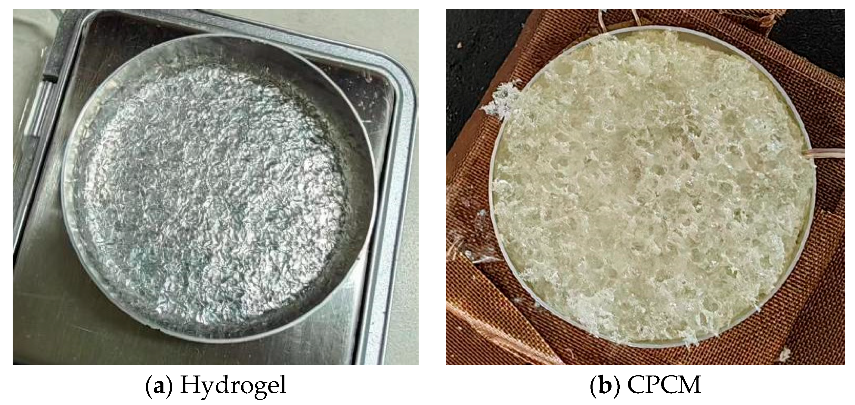 Applsci 15 10578 g001