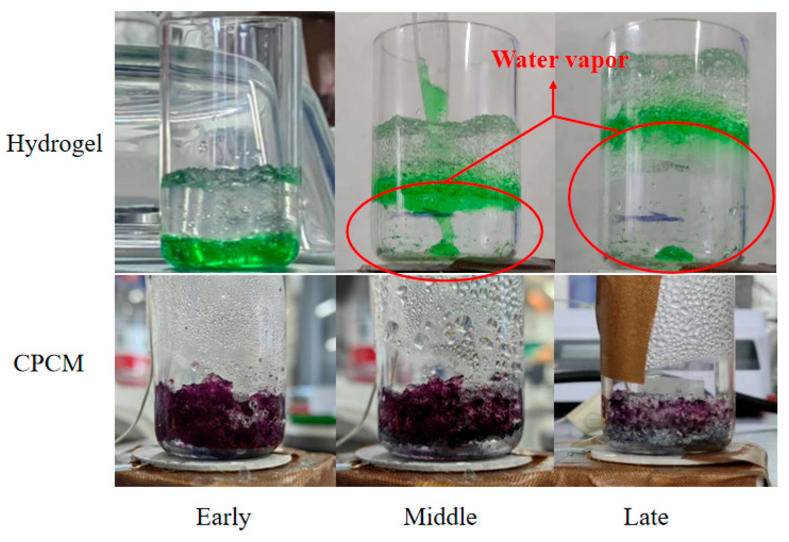 Applsci 15 10578 g006