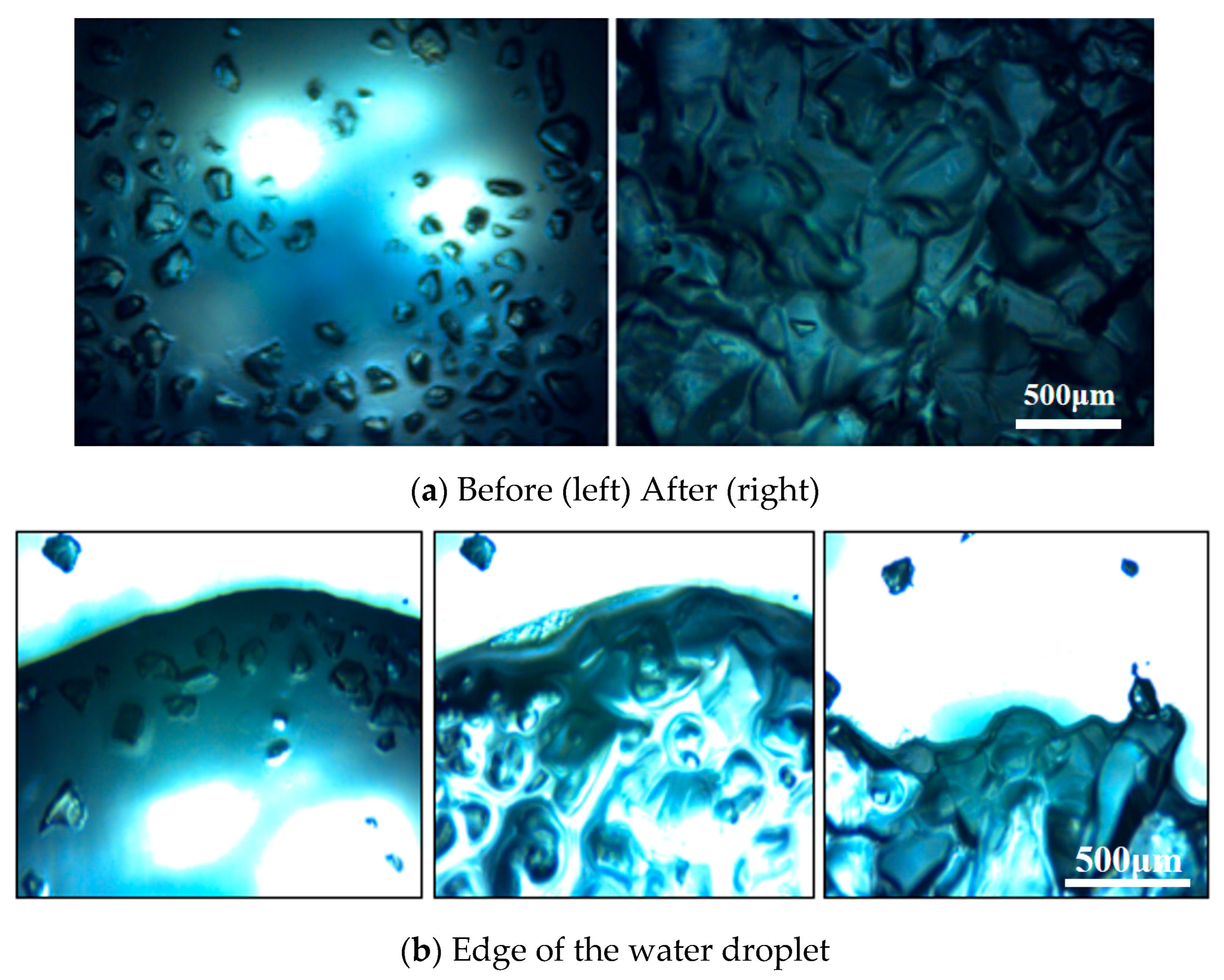 Applsci 15 10578 g007