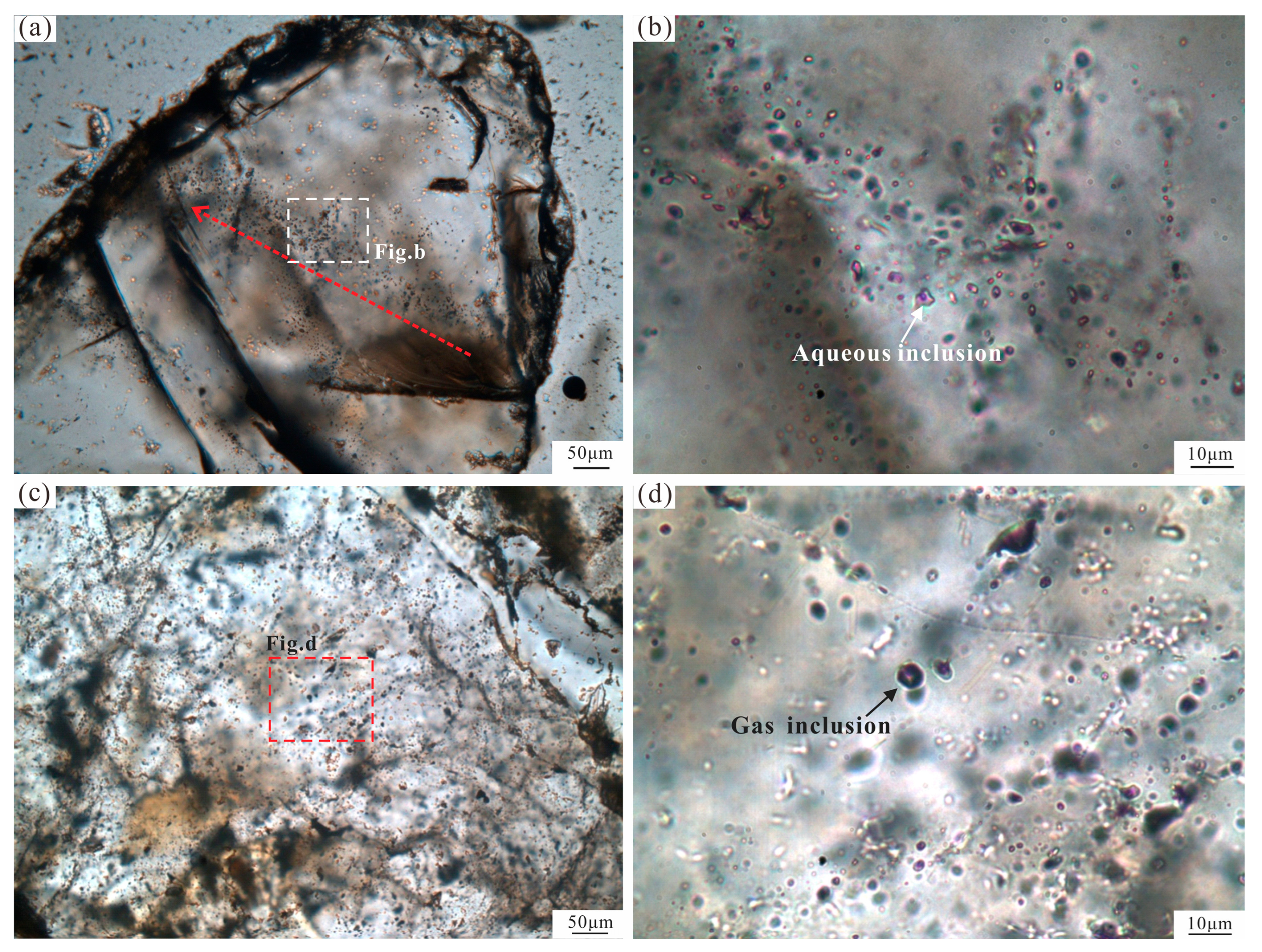 Applsci 15 10587 g005 Applsci 15 10587 g005