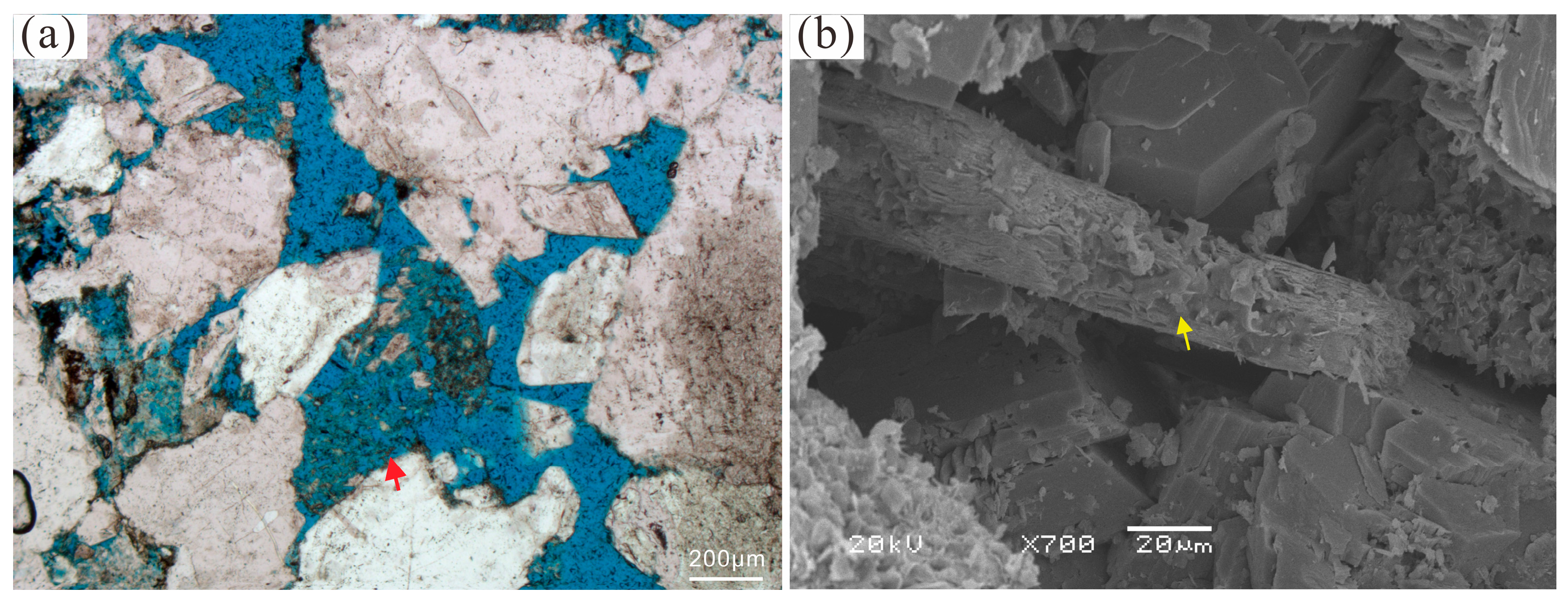 Applsci 15 10587 g013 Applsci 15 10587 g013