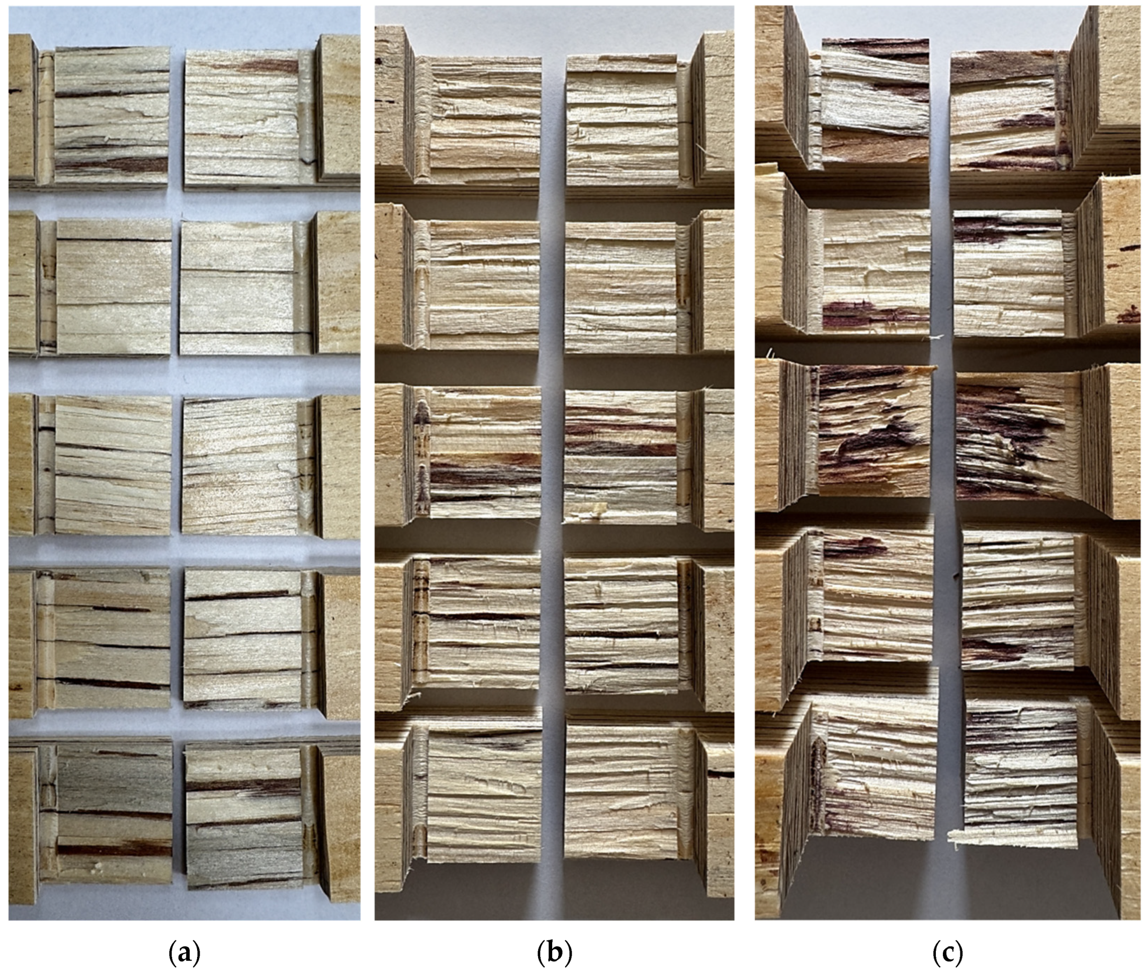 Applsci 15 10599 g013