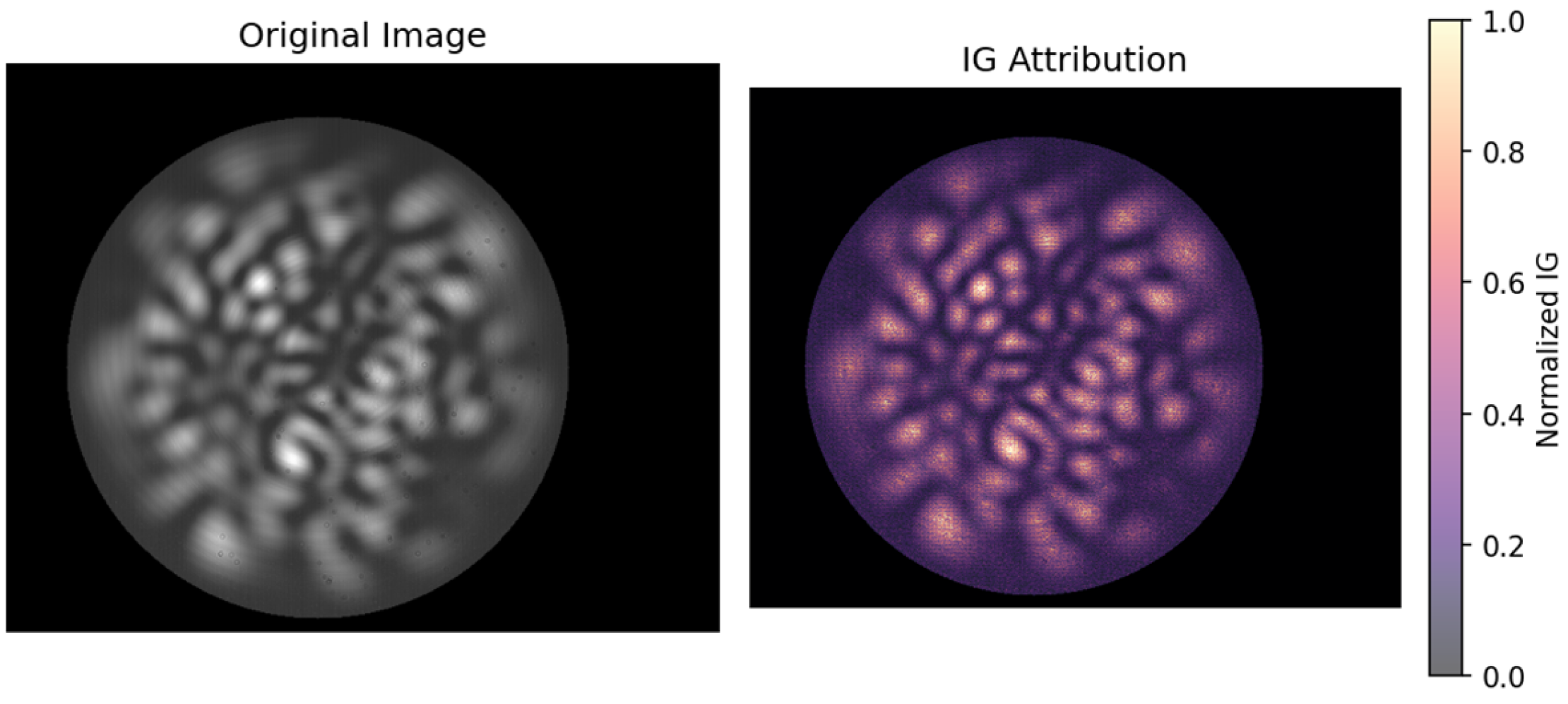 Applsci 15 10606 g006