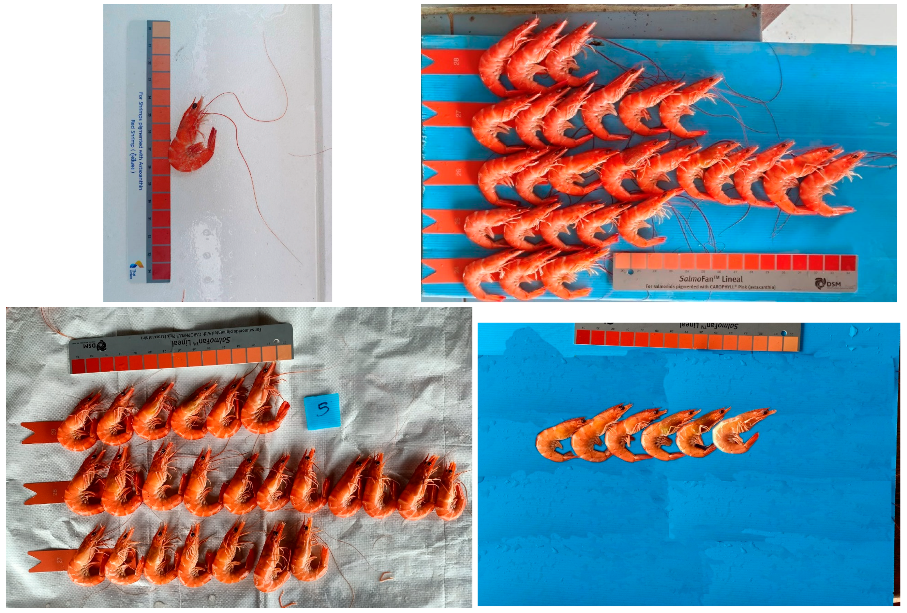 Applsci 15 10632 g001