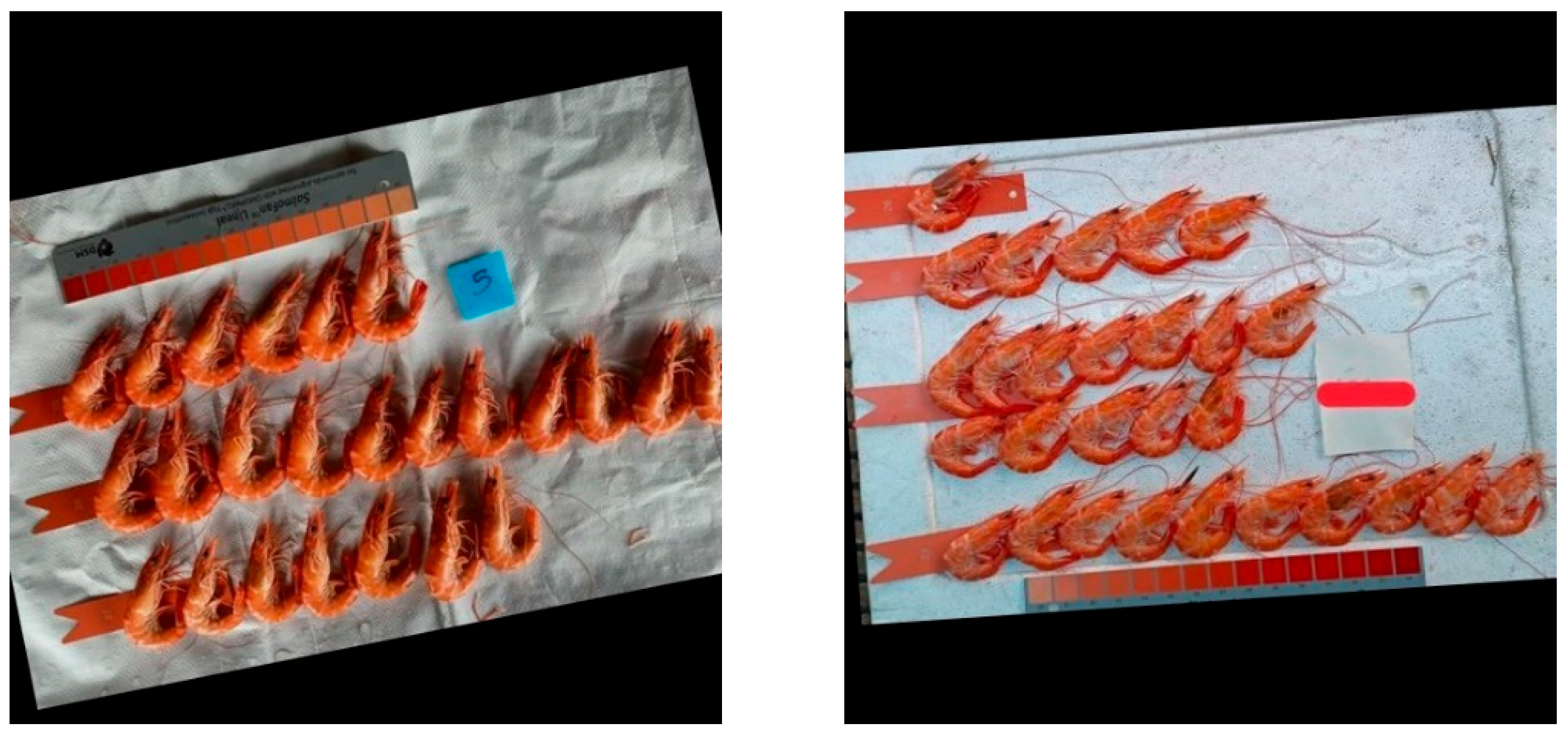 Applsci 15 10632 g002