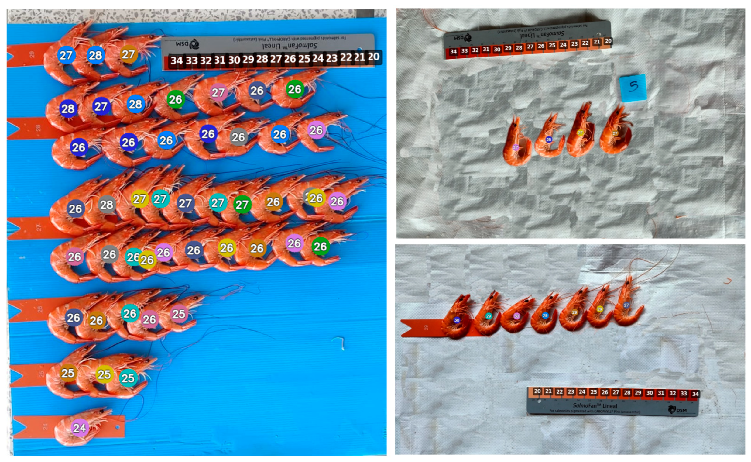 Applsci 15 10632 g011