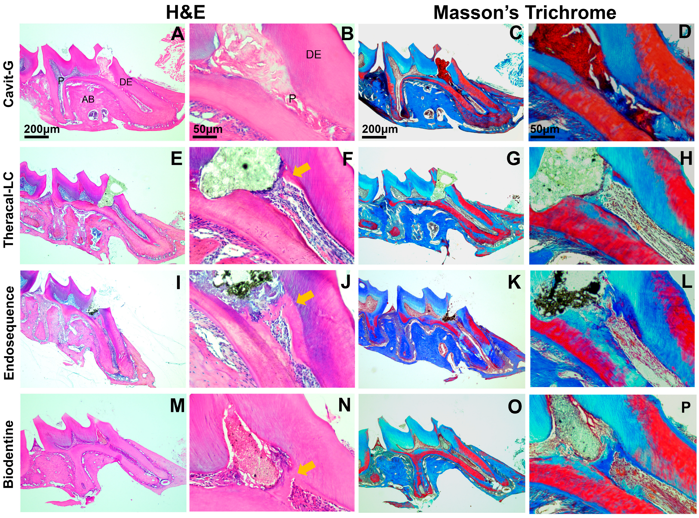 Applsci 15 10639 g004