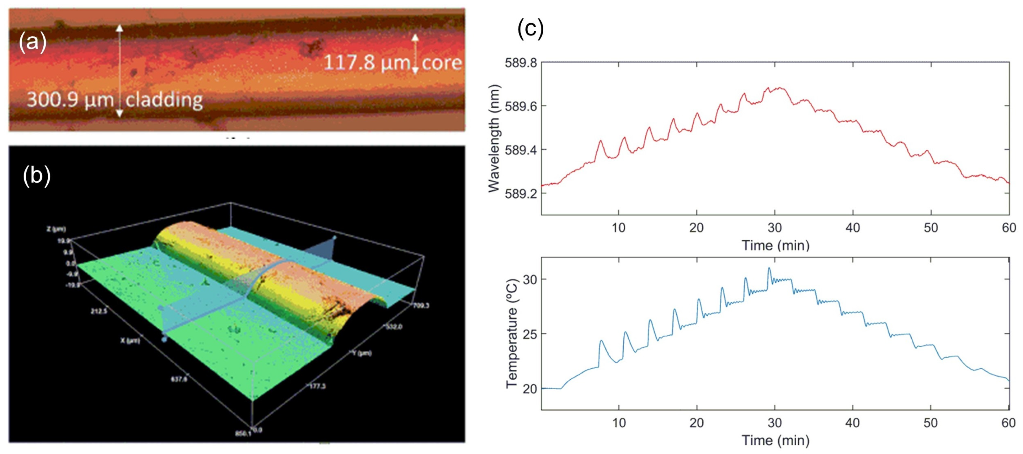 Applsci 15 10644 g013 Applsci 15 10644 g013