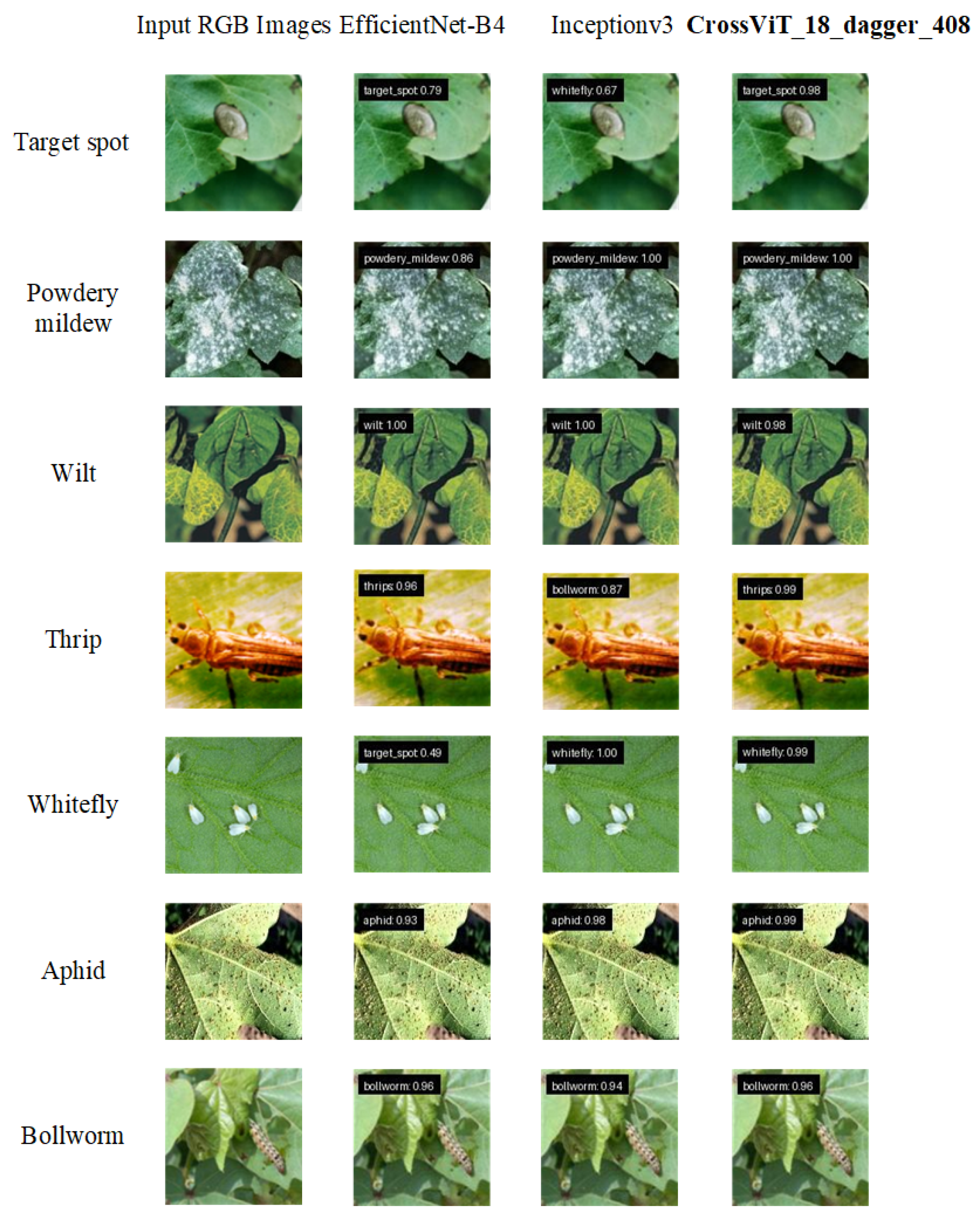 Applsci 15 10668 g008 Applsci 15 10668 g008