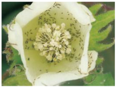 Applsci 15 10668 i004 Applsci 15 10668 i004