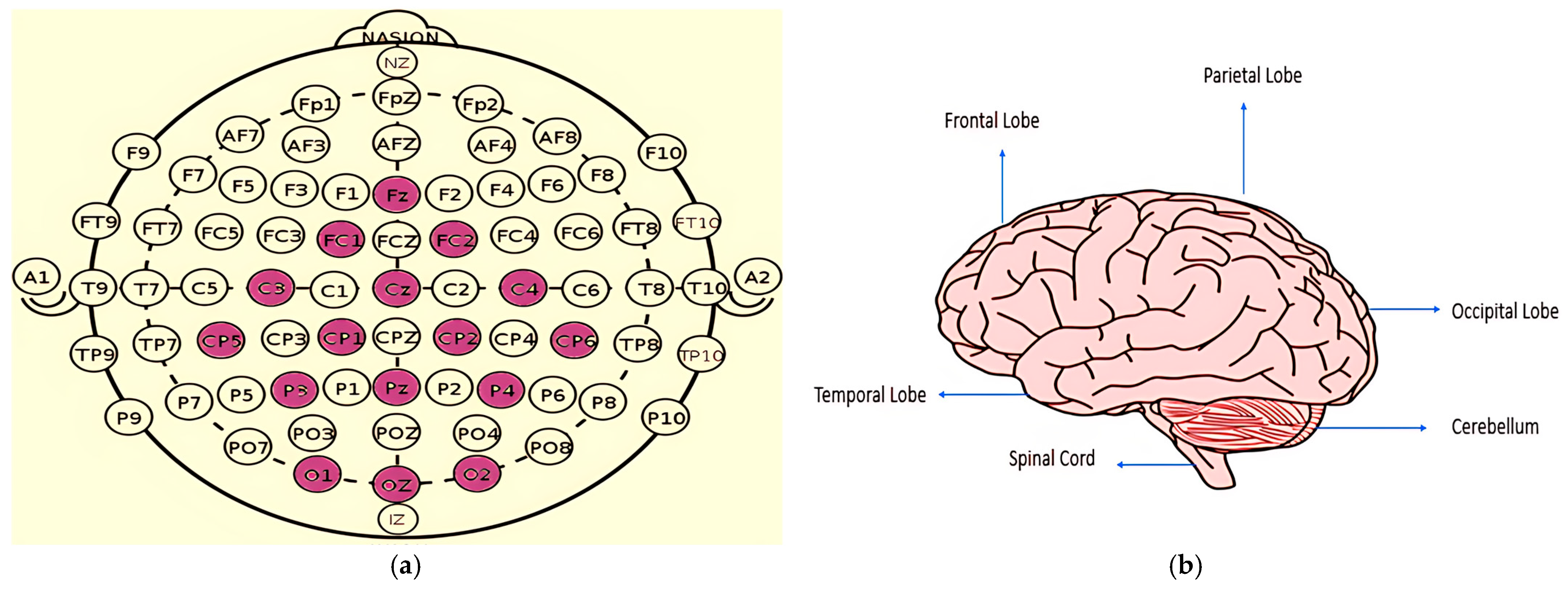 Applsci 15 10671 g003 Applsci 15 10671 g003