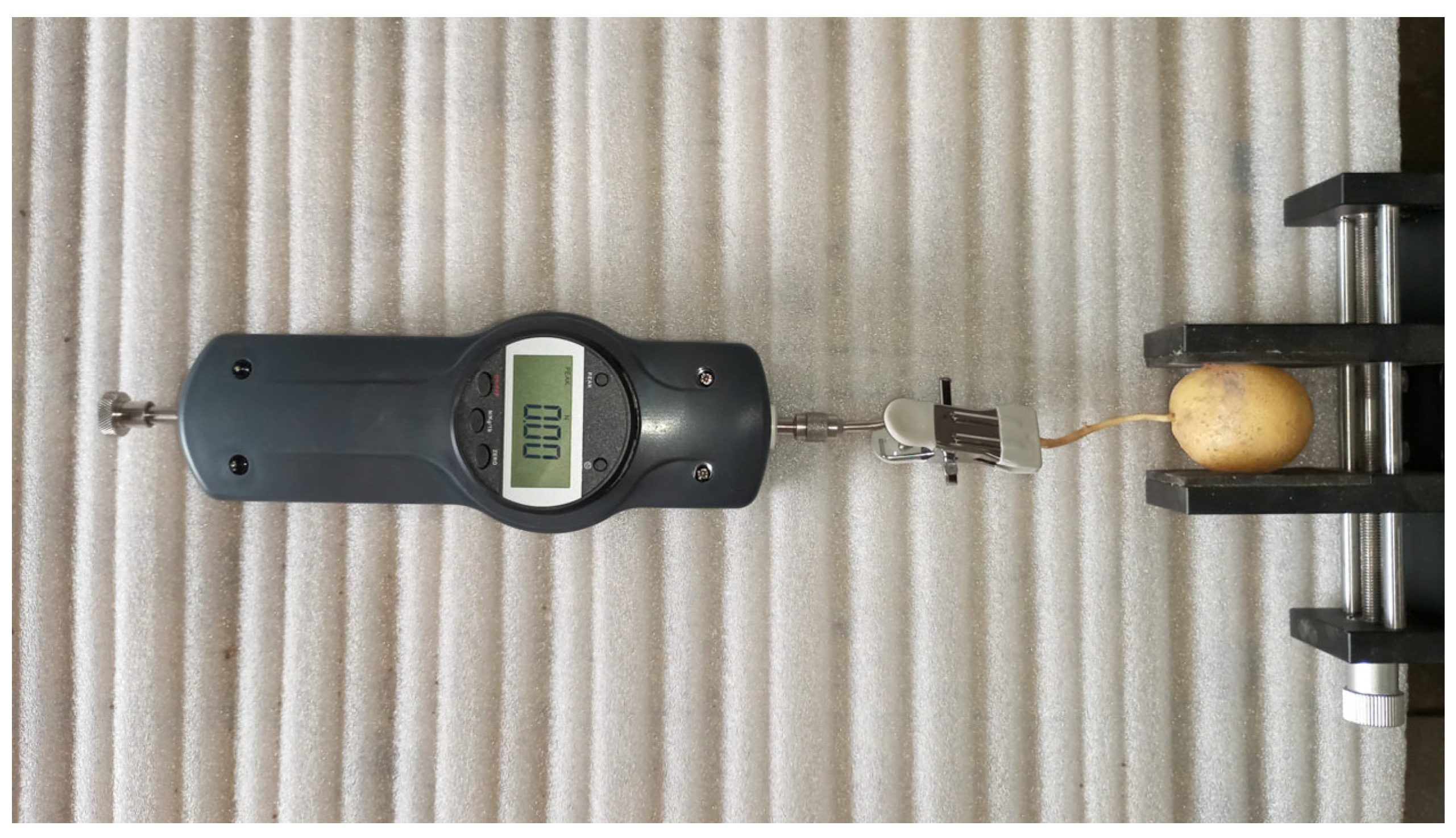 Applsci 15 10683 g003