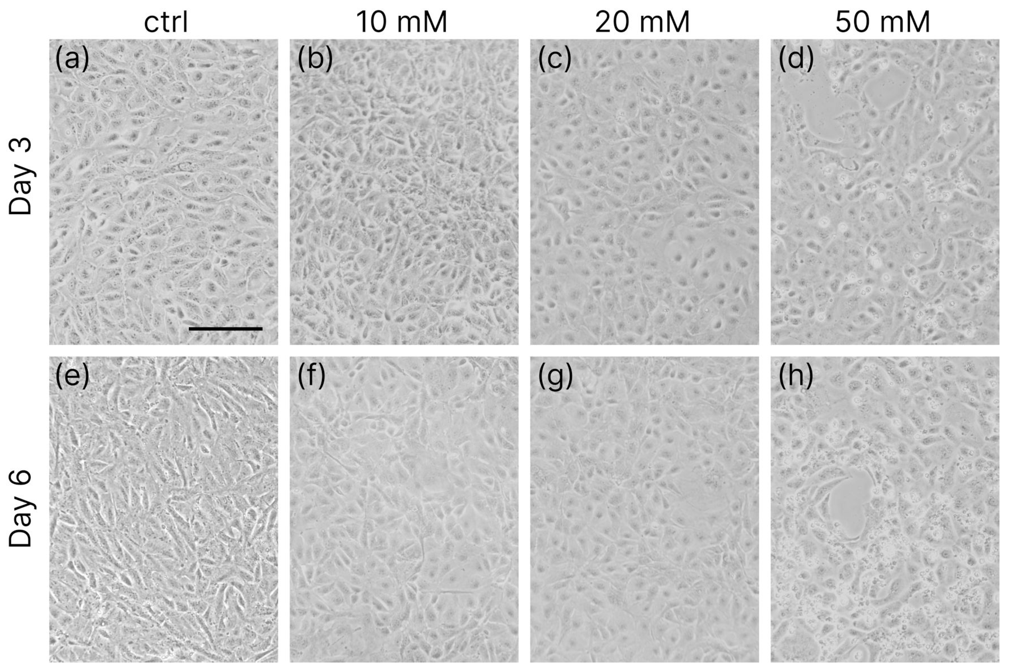 Applsci 15 10684 g002 Applsci 15 10684 g002