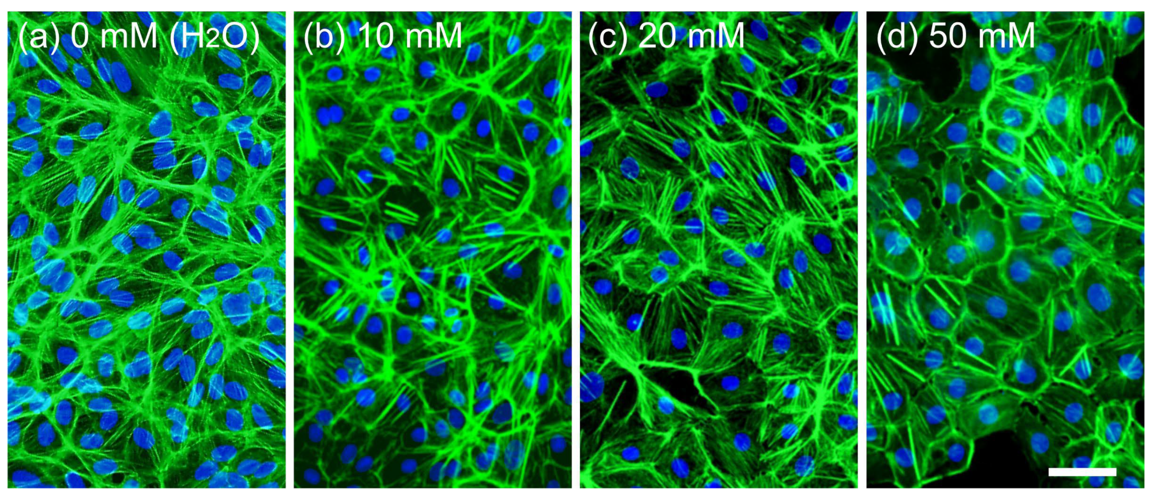 Applsci 15 10684 g003 Applsci 15 10684 g003