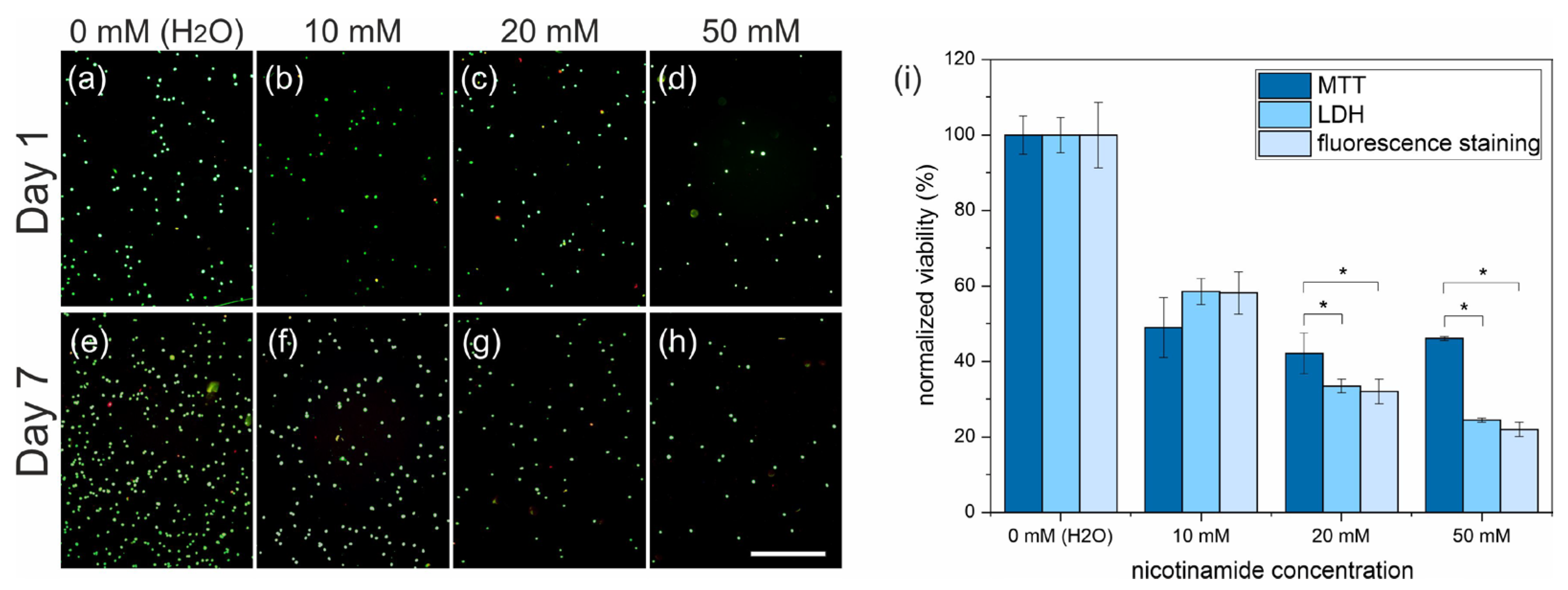 Applsci 15 10684 g006 Applsci 15 10684 g006