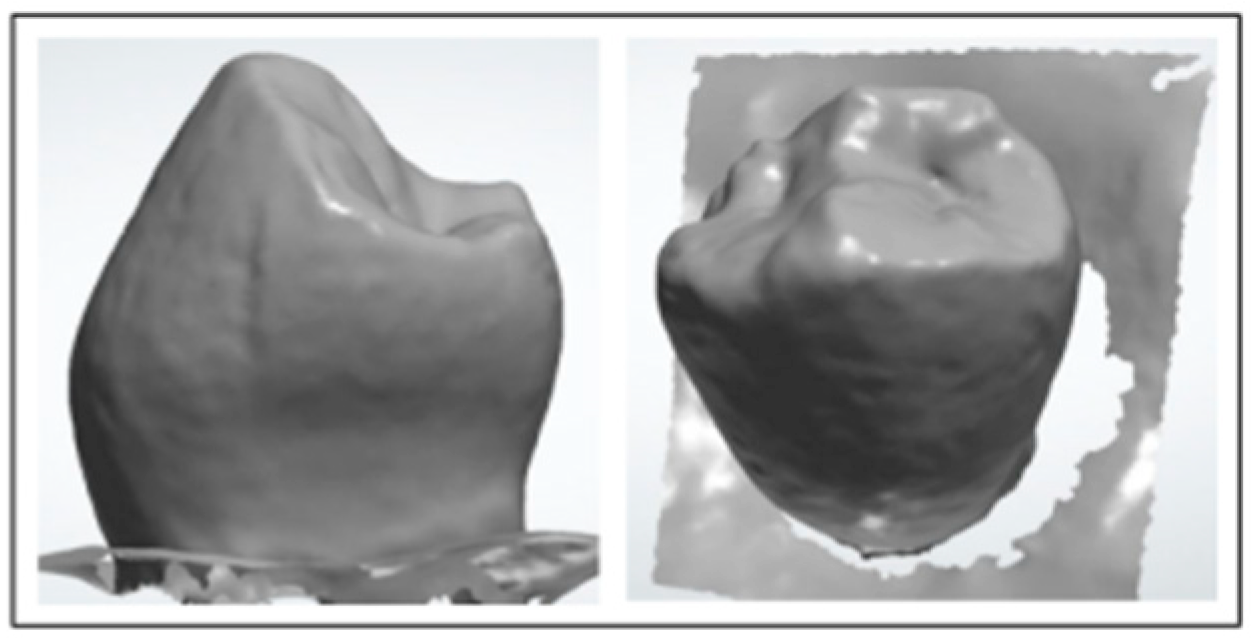 Applsci 15 10708 g001 Applsci 15 10708 g001