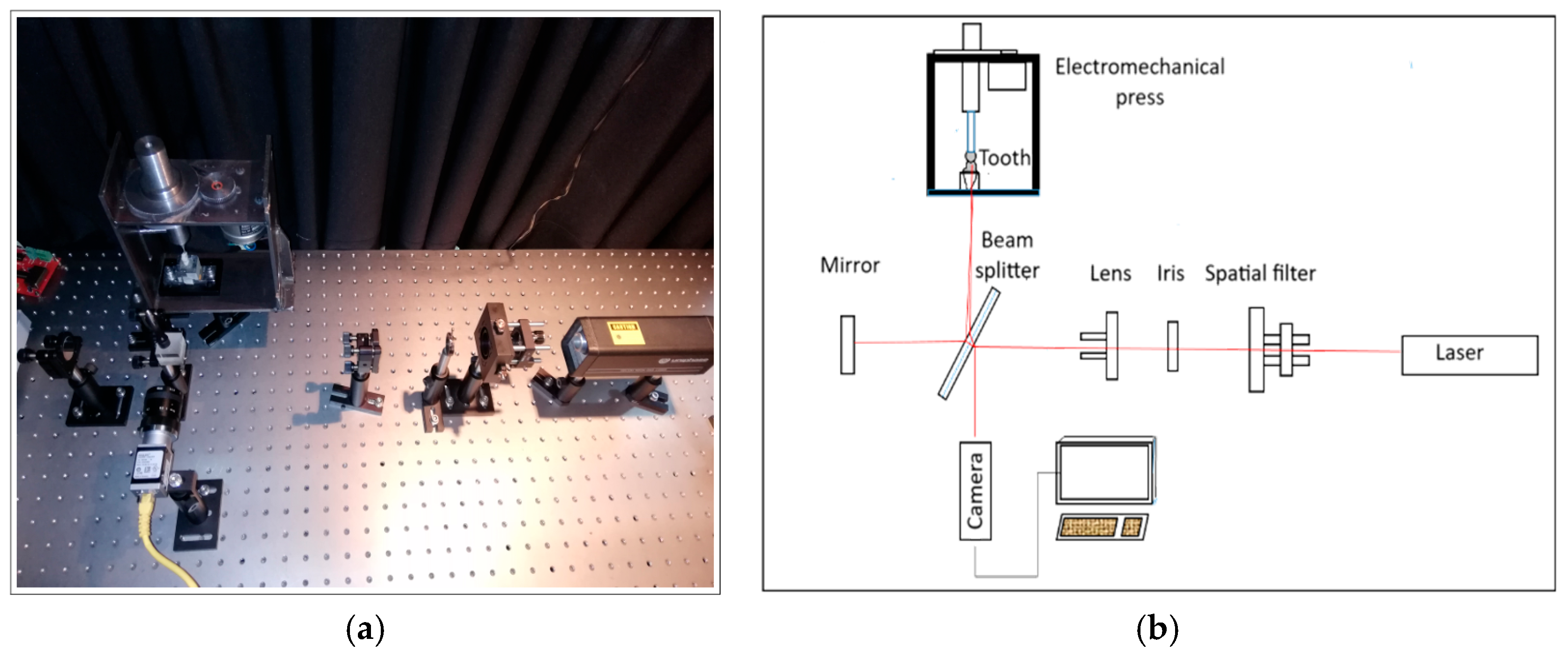 Applsci 15 10708 g007 Applsci 15 10708 g007