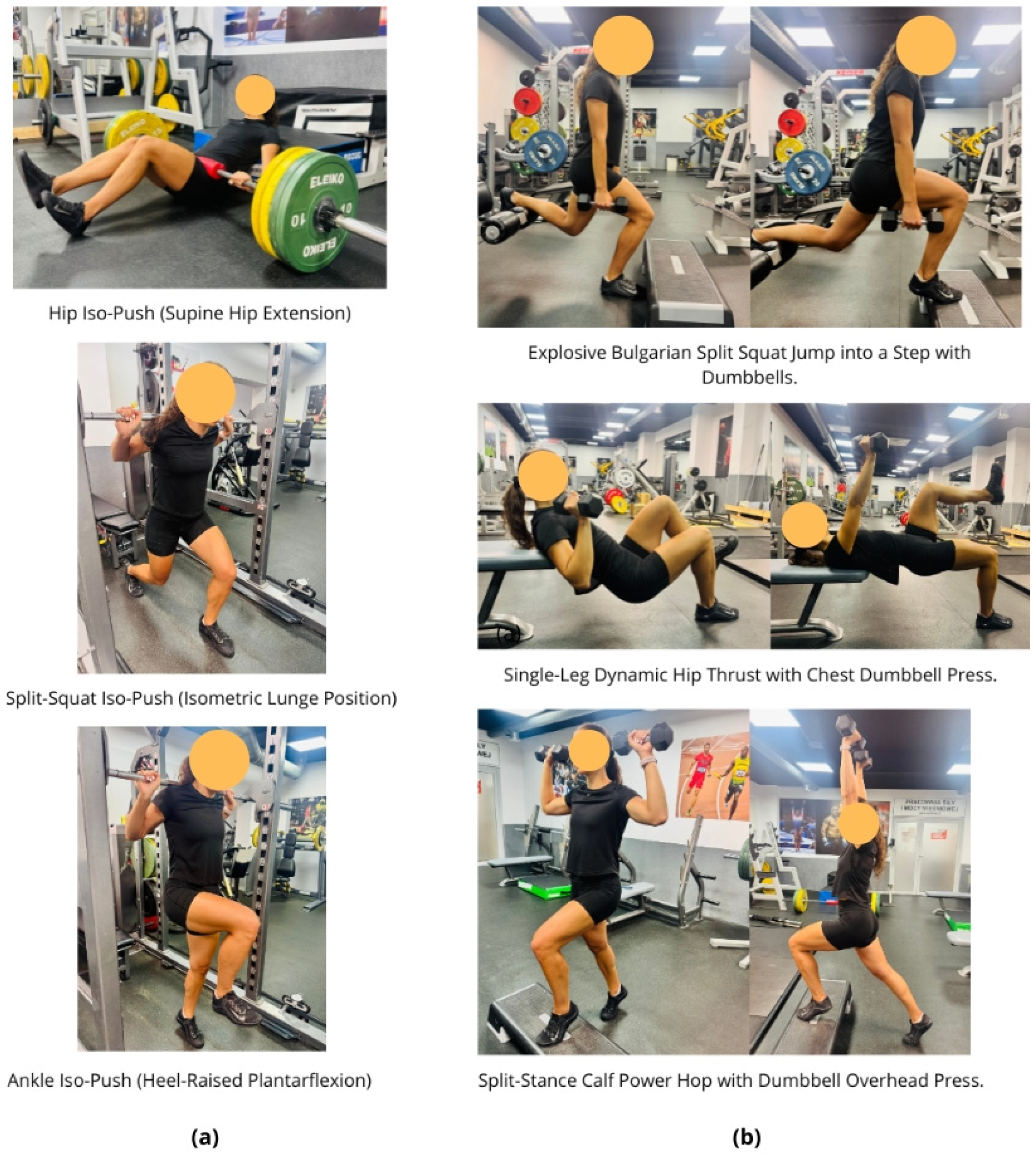 Applsci 15 10724 g001 Applsci 15 10724 g001