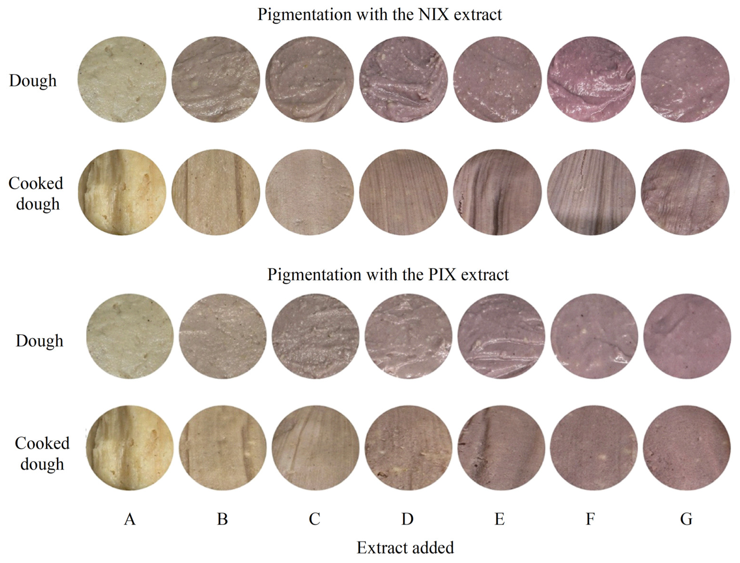 Applsci 15 10730 g005 Applsci 15 10730 g005
