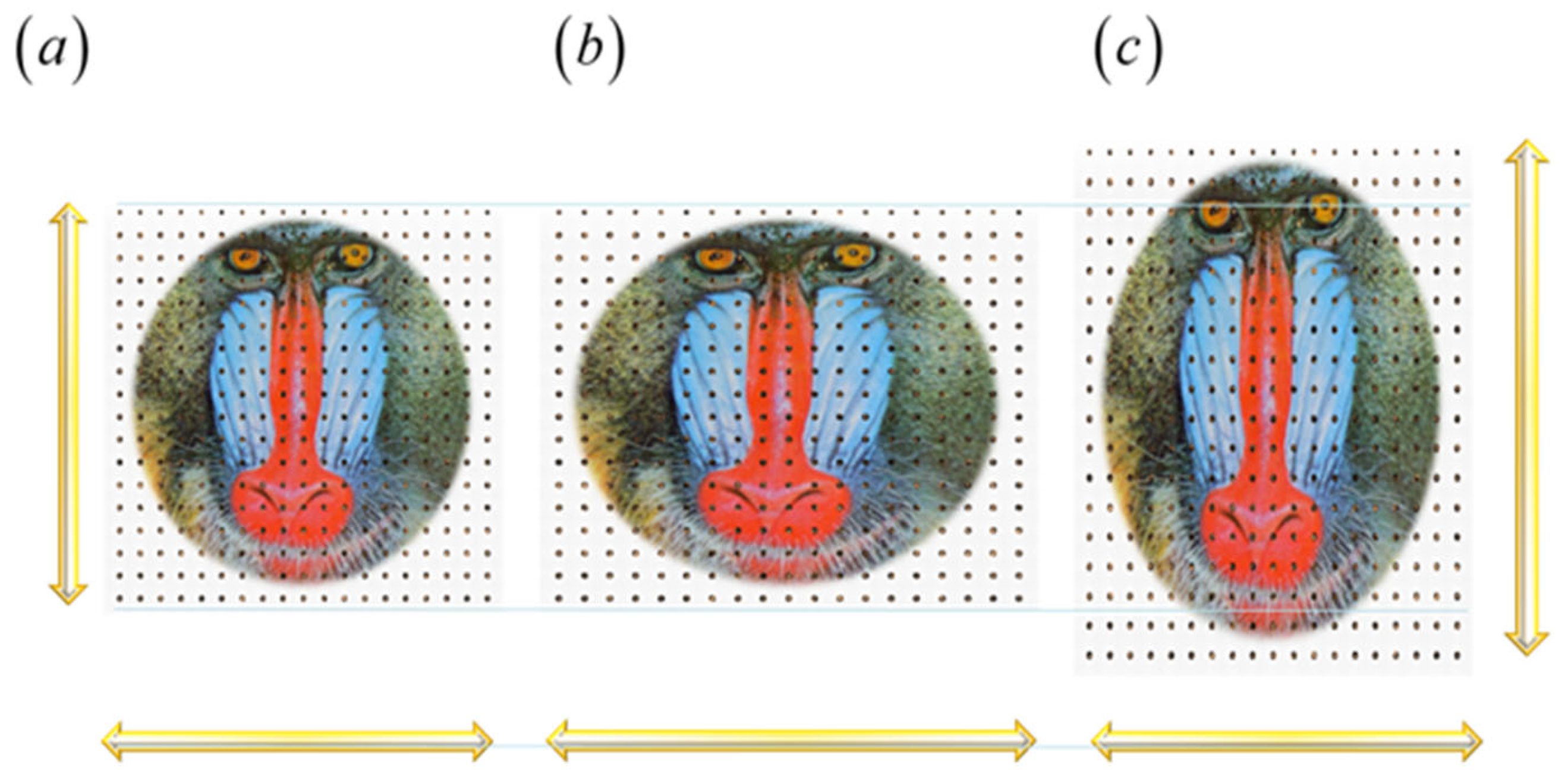 Applsci 15 10743 g026 Applsci 15 10743 g026