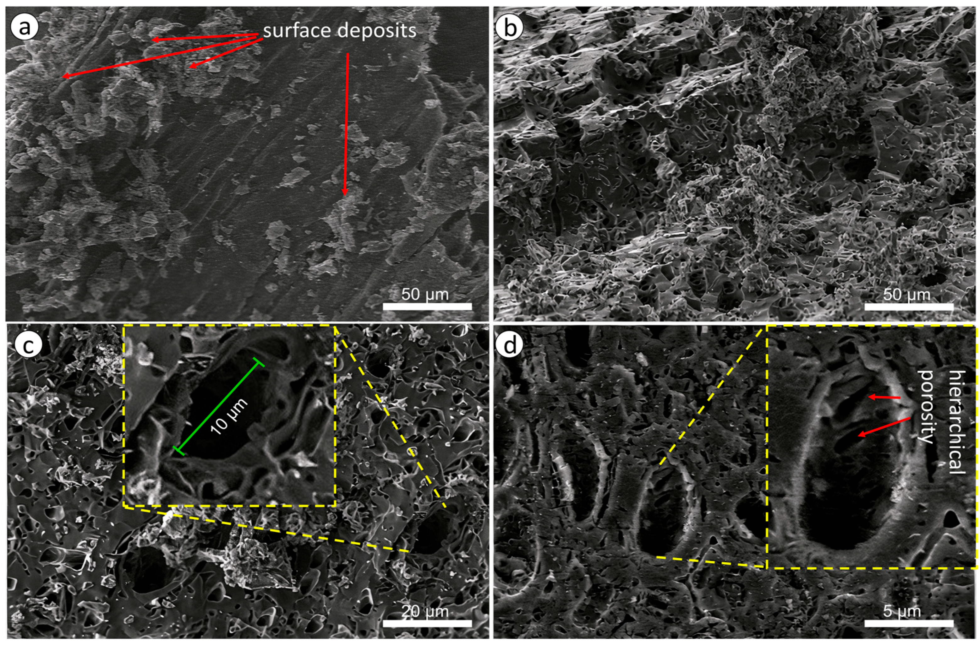 Applsci 15 10752 g006