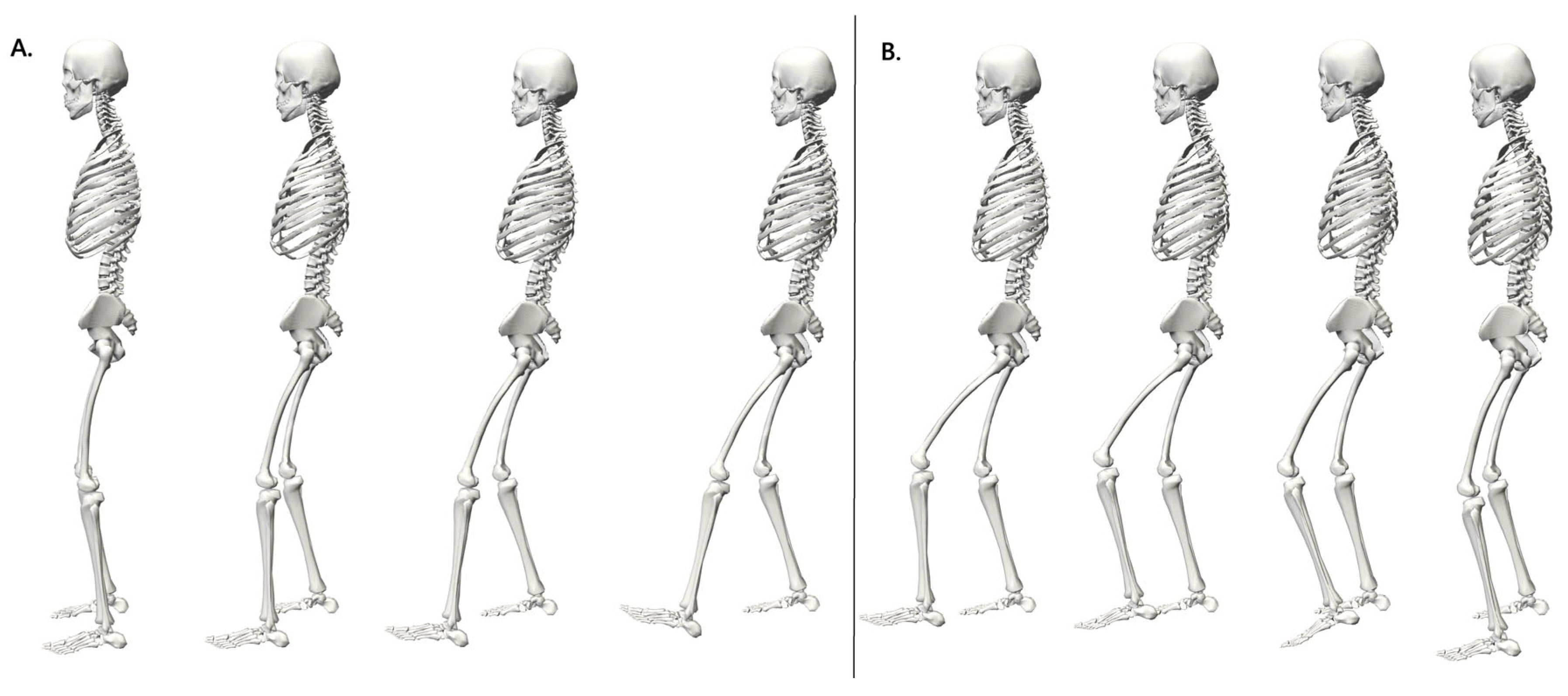 Applsci 15 10764 g002