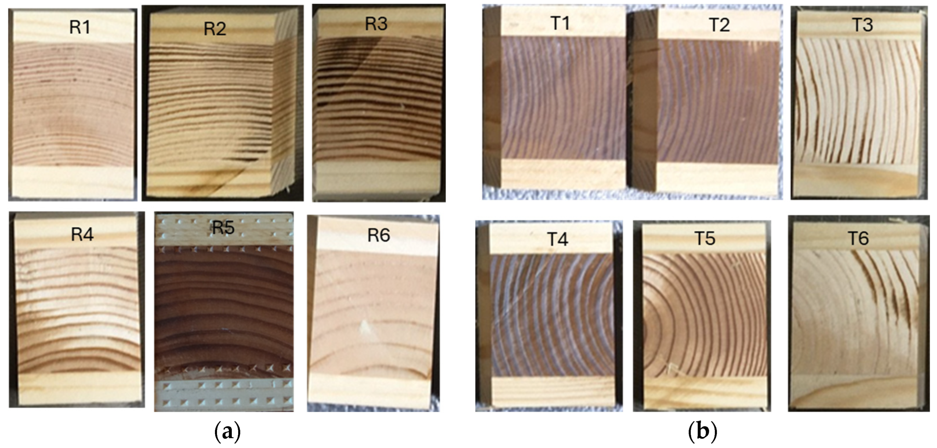 Applsci 15 10775 g002