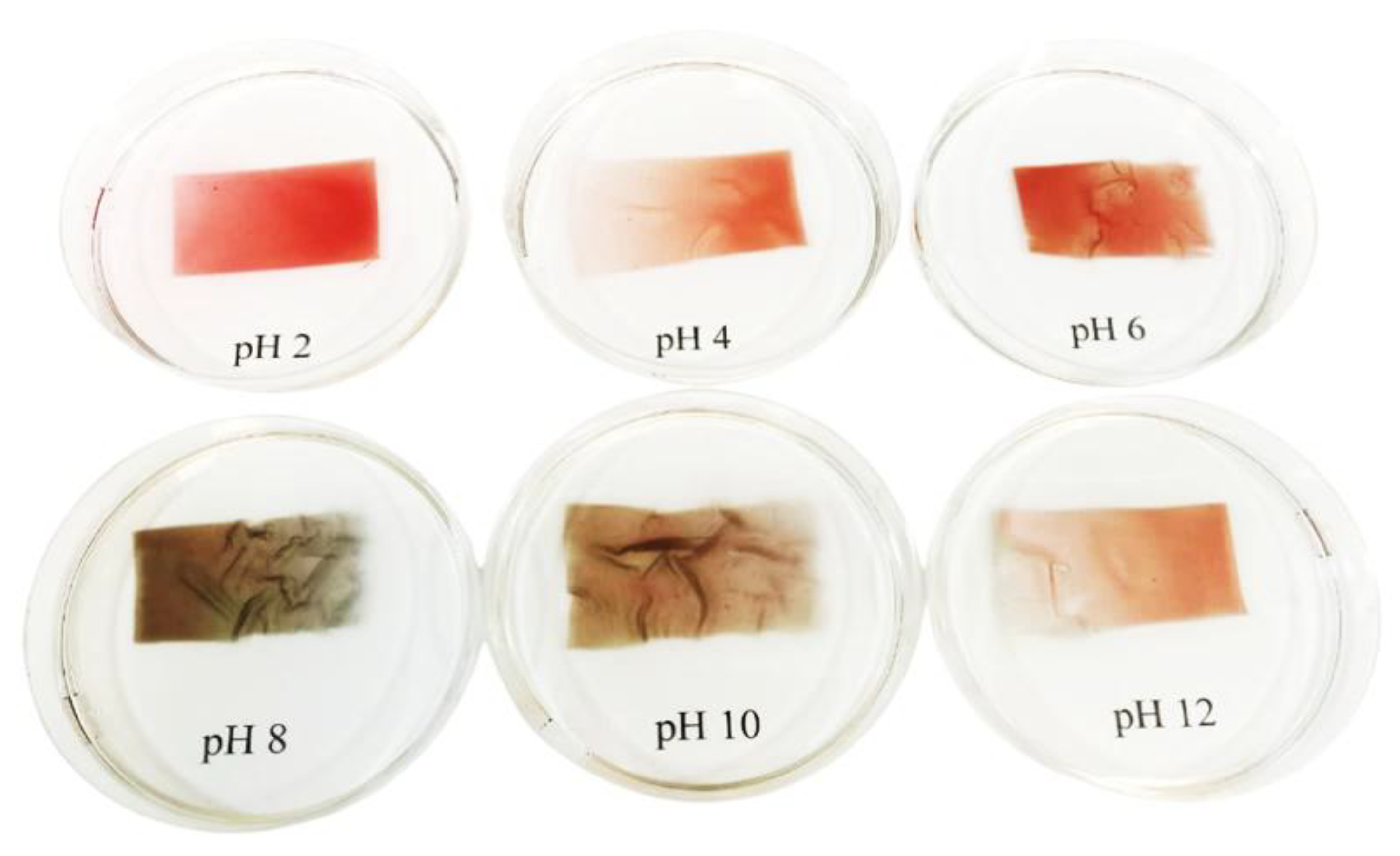 Applsci 15 10789 g003 Applsci 15 10789 g003