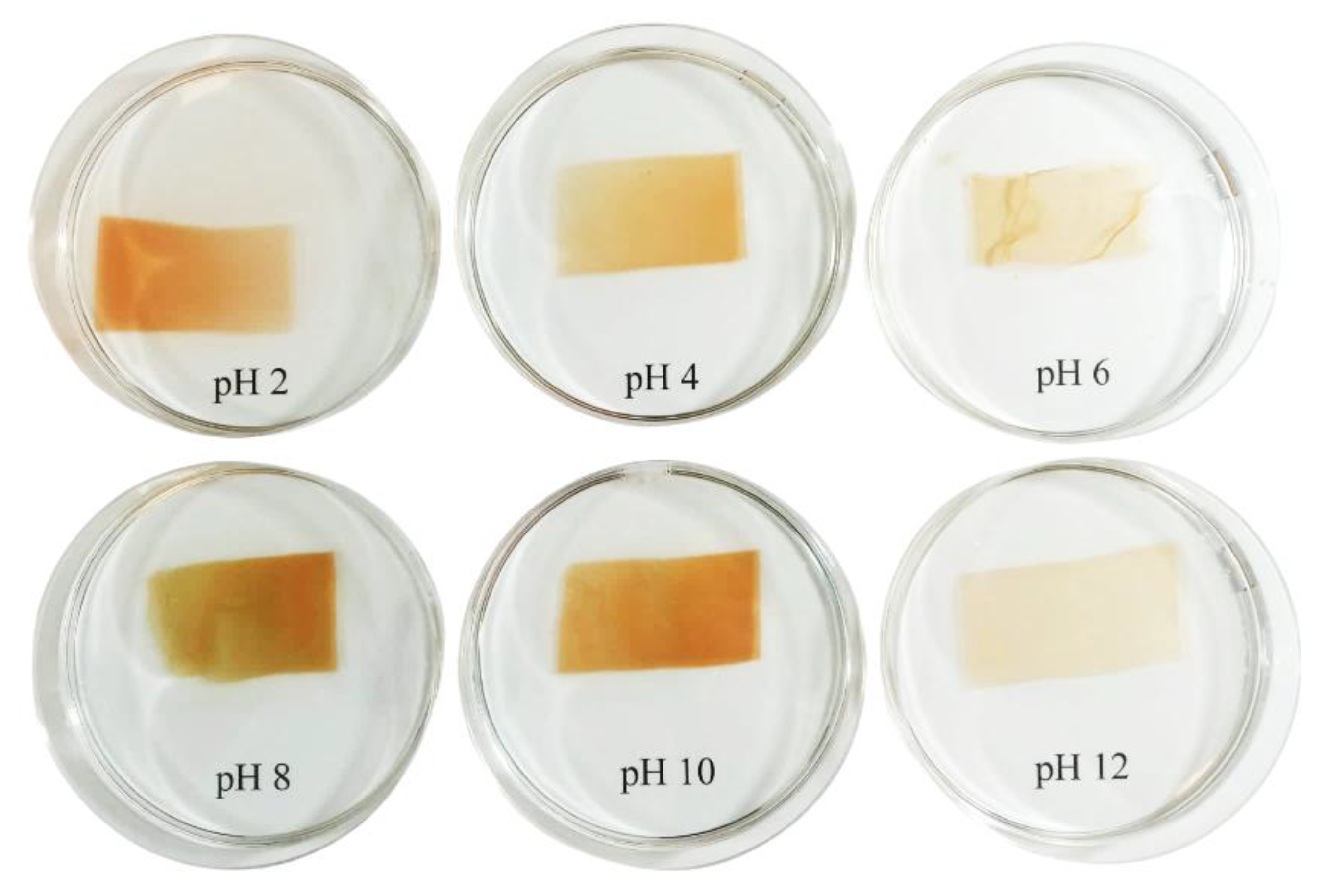 Applsci 15 10789 g004 Applsci 15 10789 g004