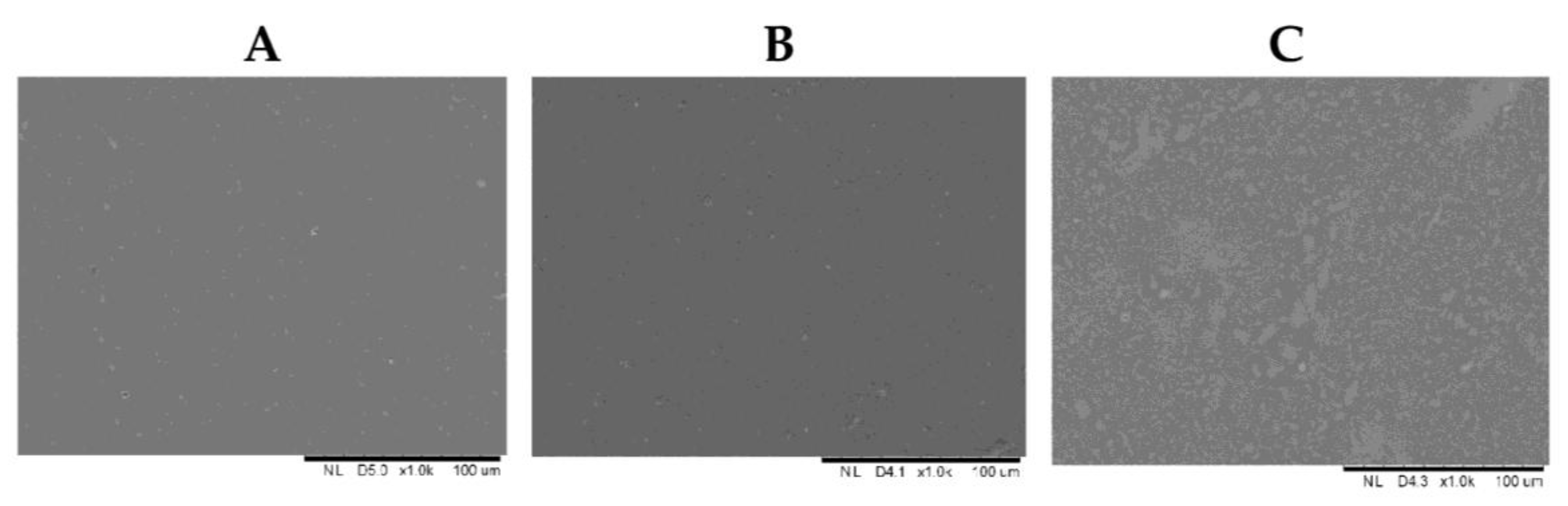 Applsci 15 10789 g005 Applsci 15 10789 g005