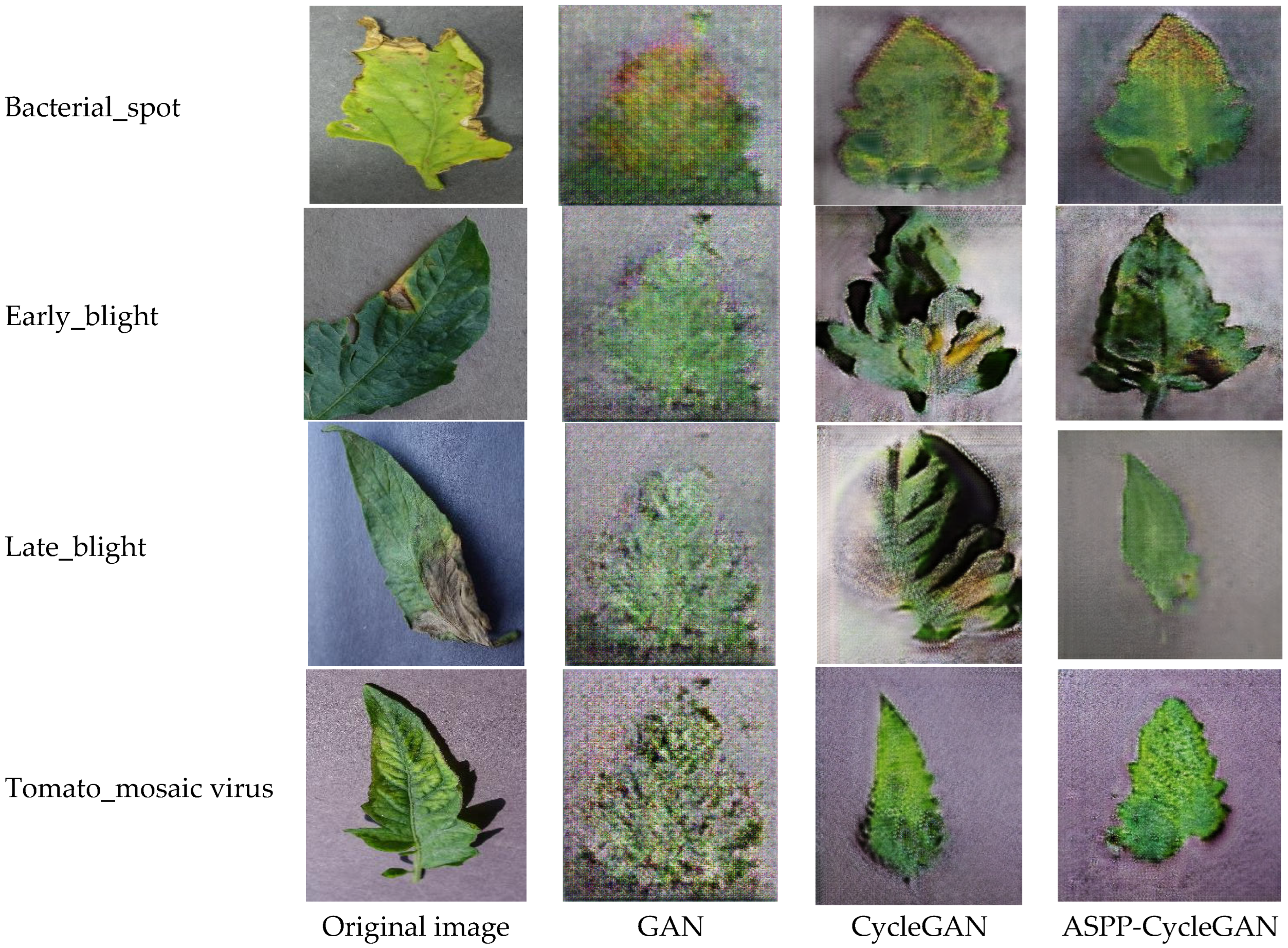 Applsci 15 10790 g006 Applsci 15 10790 g006