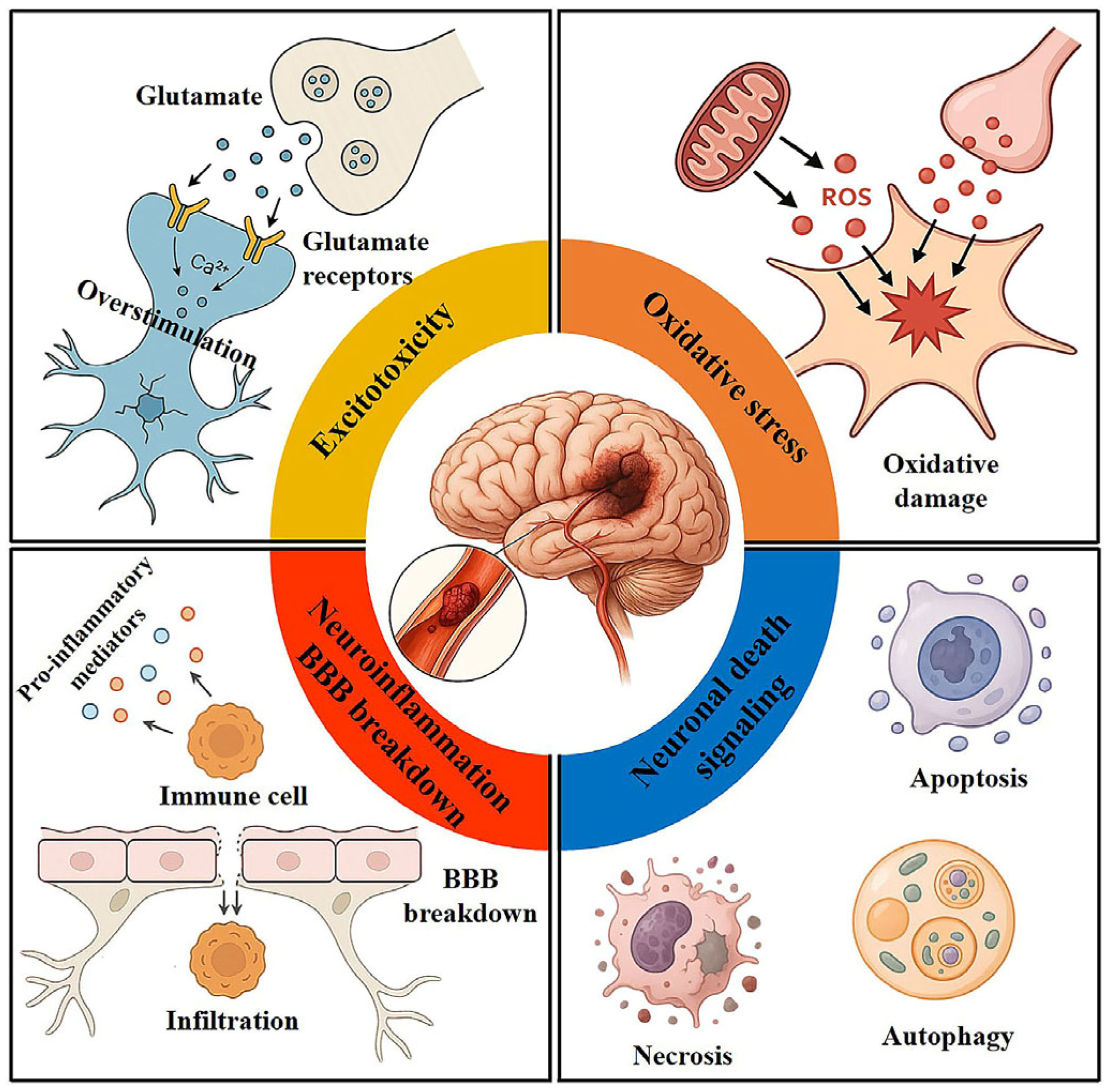Applsci 15 10791 g001