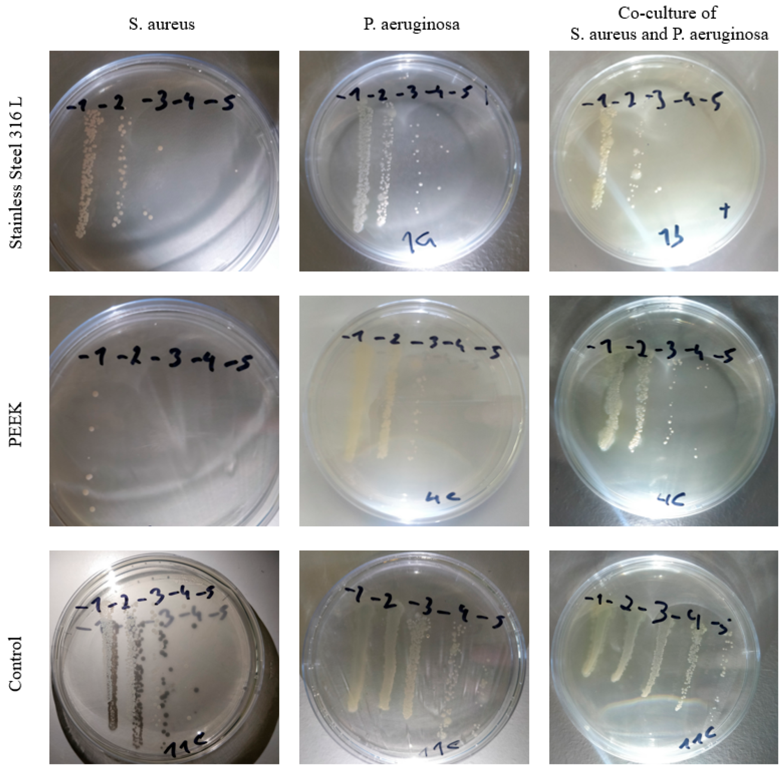 Applsci 15 10809 g001