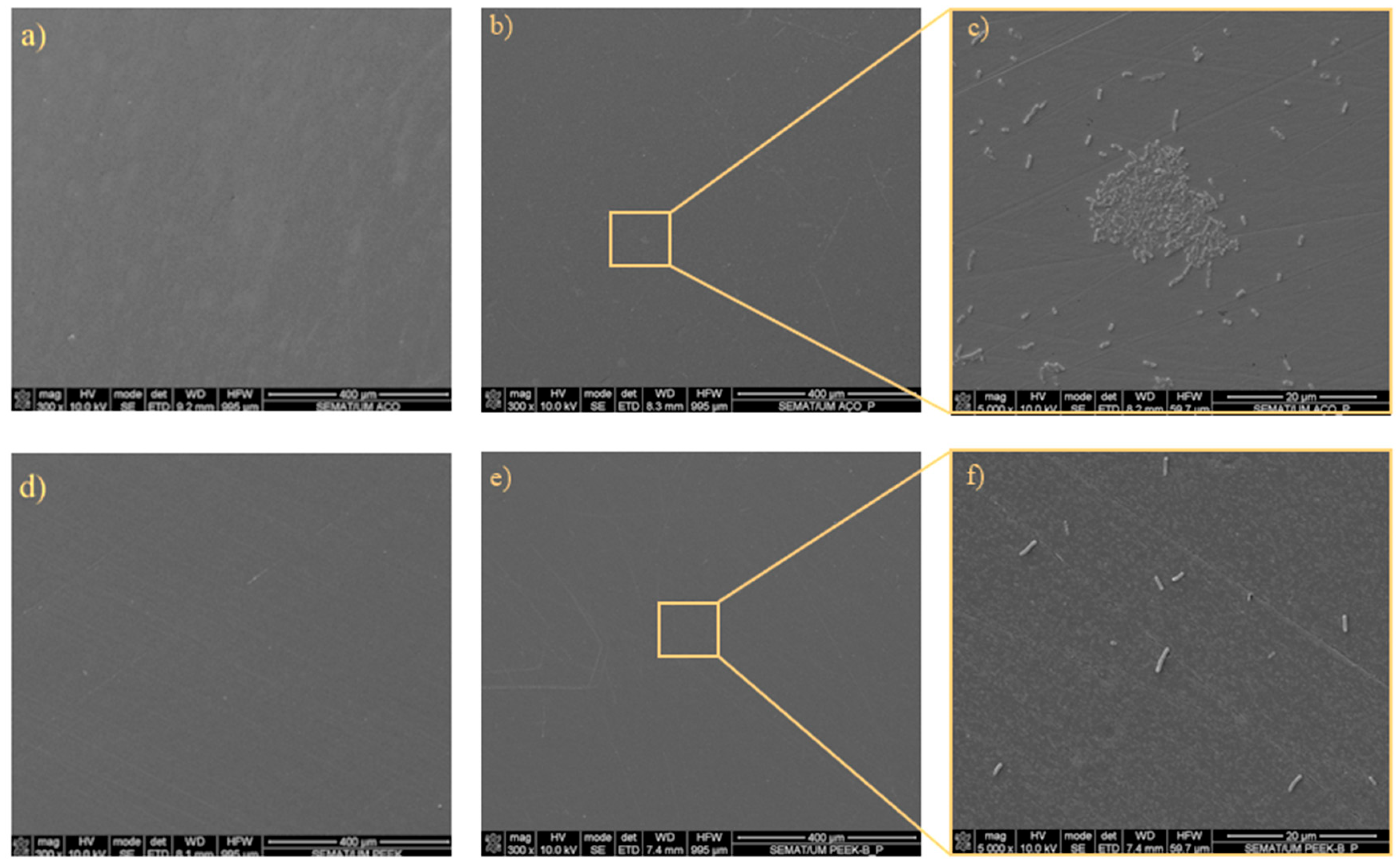 Applsci 15 10809 g009