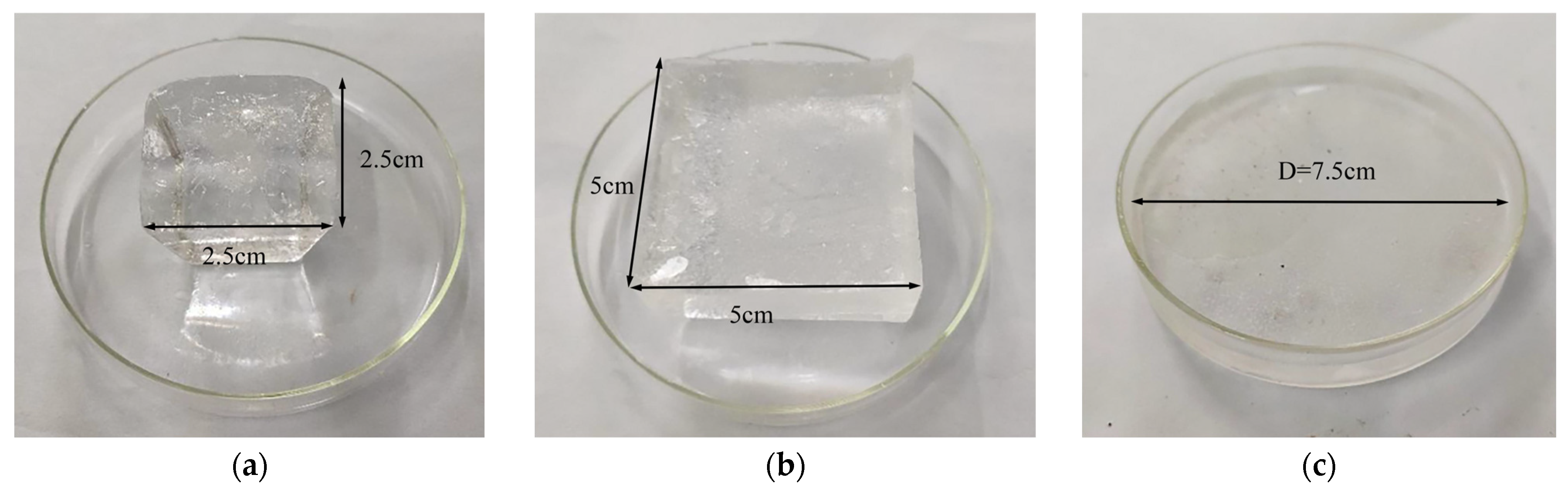 Applsci 15 10865 g001 Applsci 15 10865 g001