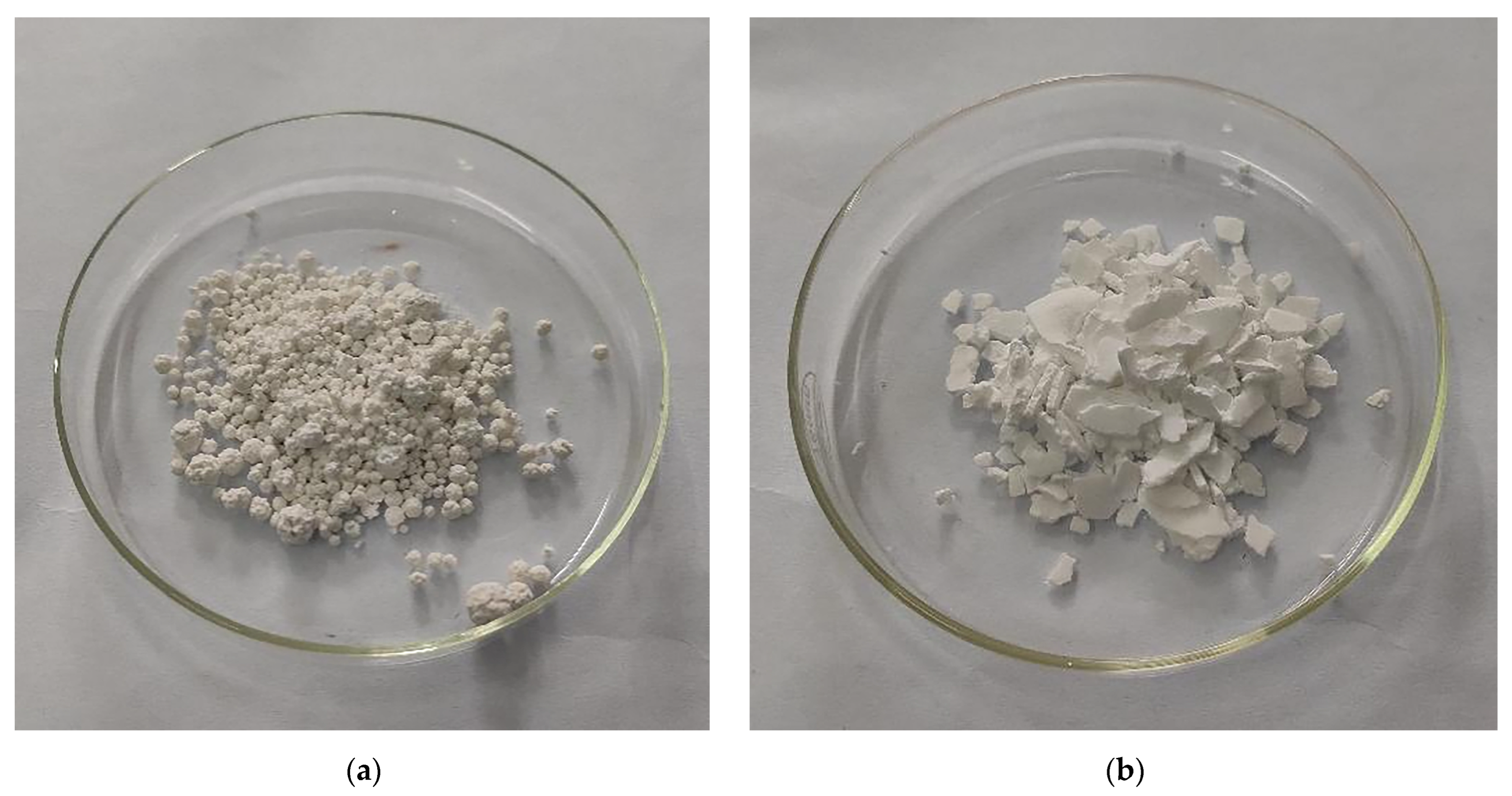 Applsci 15 10865 g009 Applsci 15 10865 g009