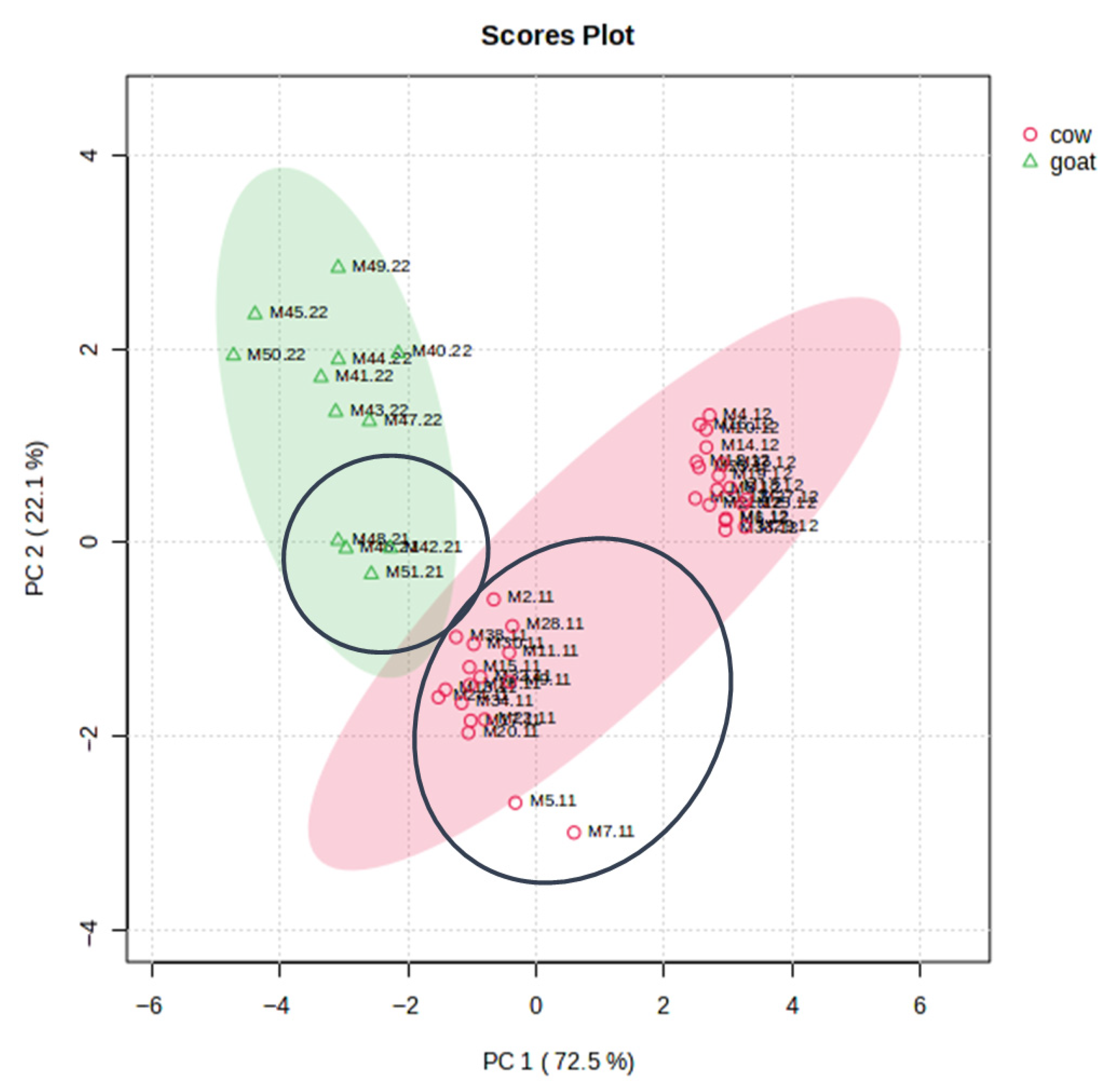 Applsci 15 10883 g003 Applsci 15 10883 g003