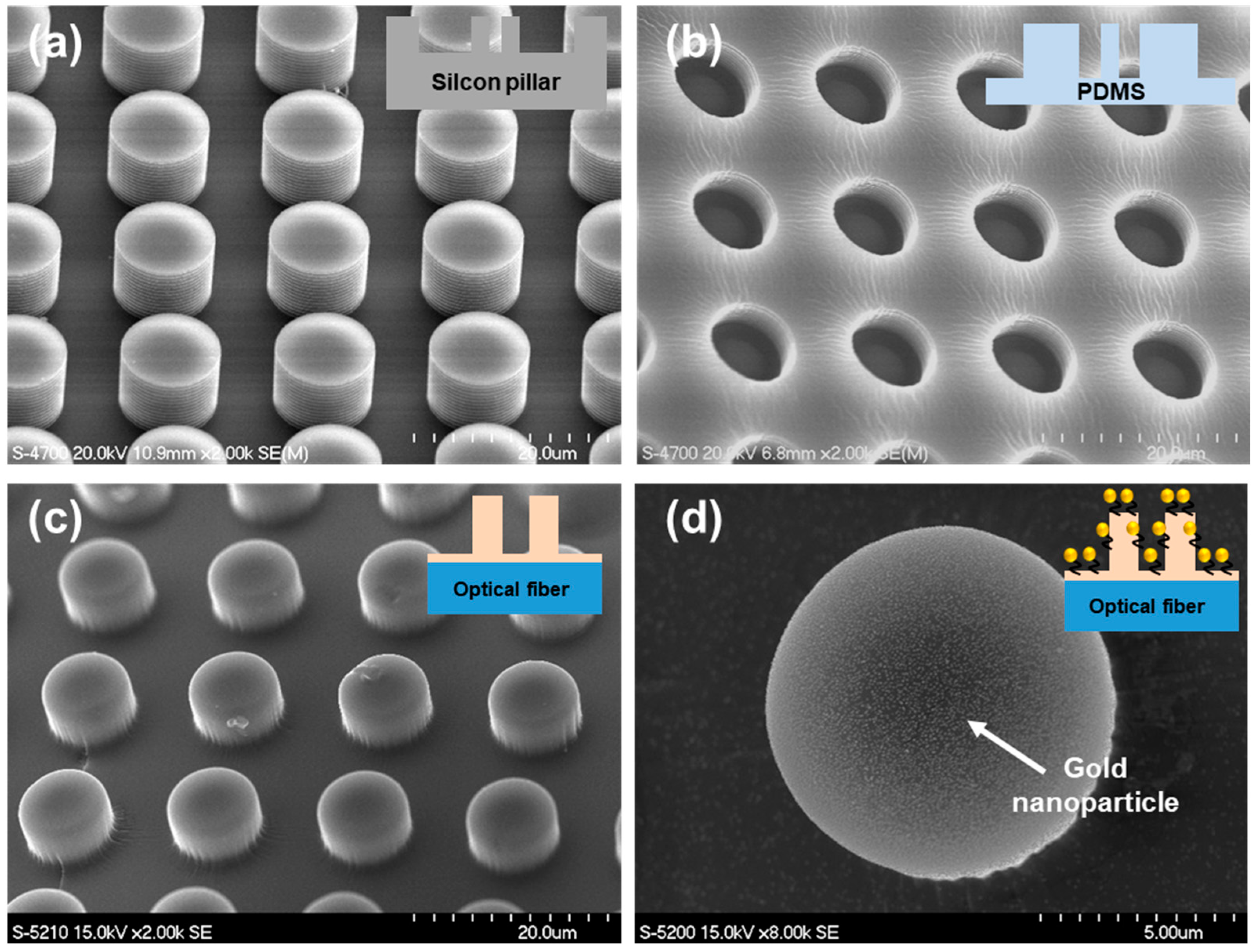 Applsci 15 10894 g003