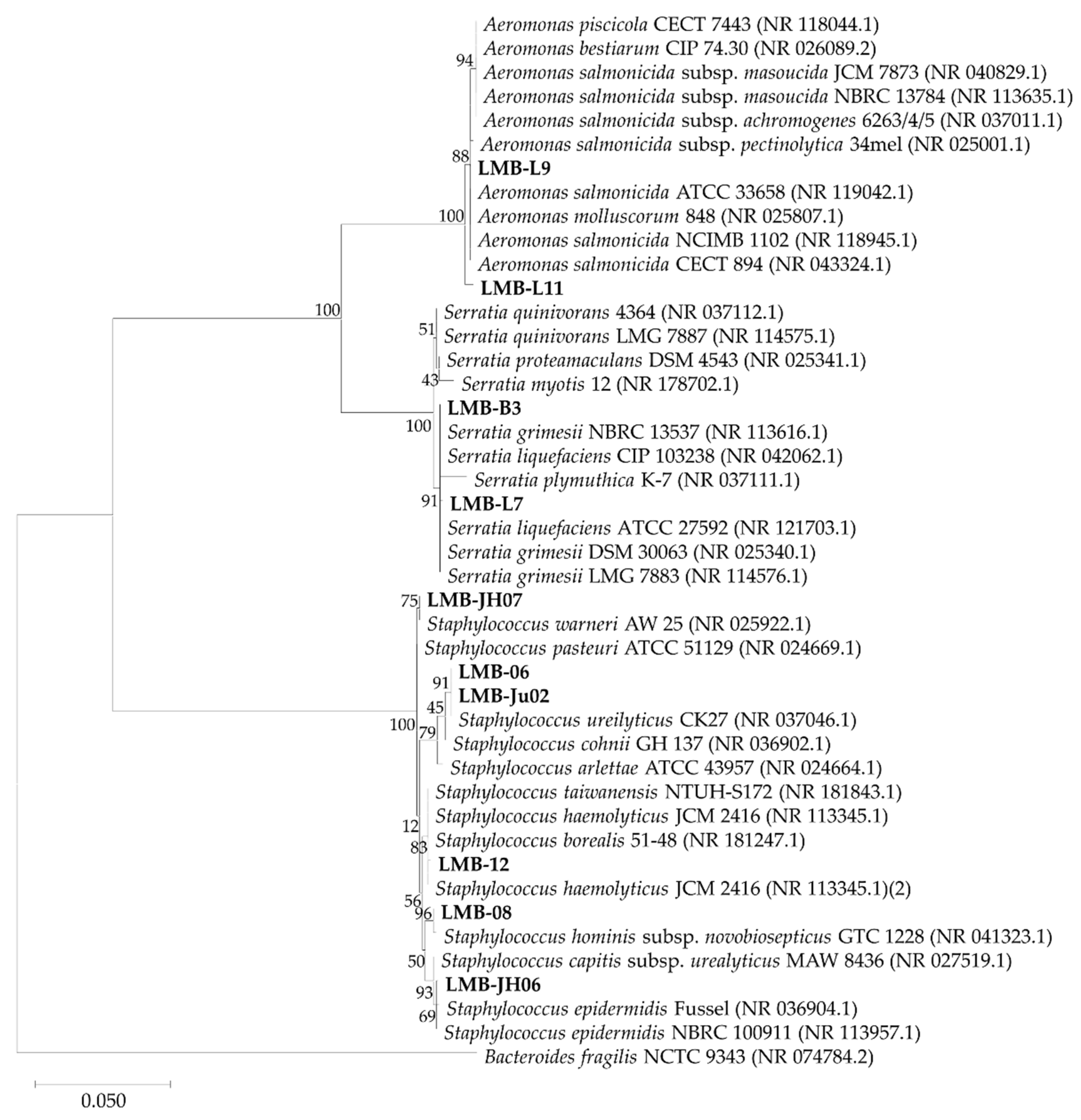 Applsci 15 10930 g003