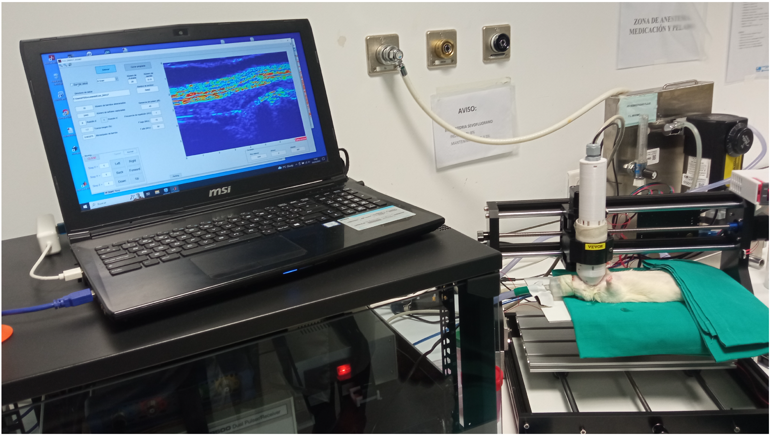 Applsci 15 10934 g001